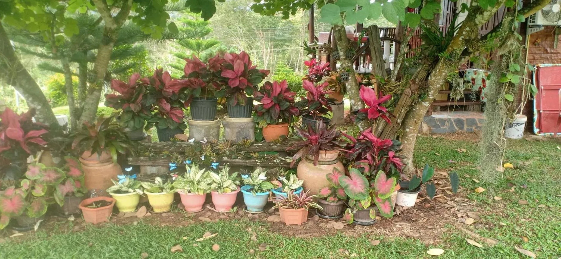 Phu Aram Khao Kho Resort