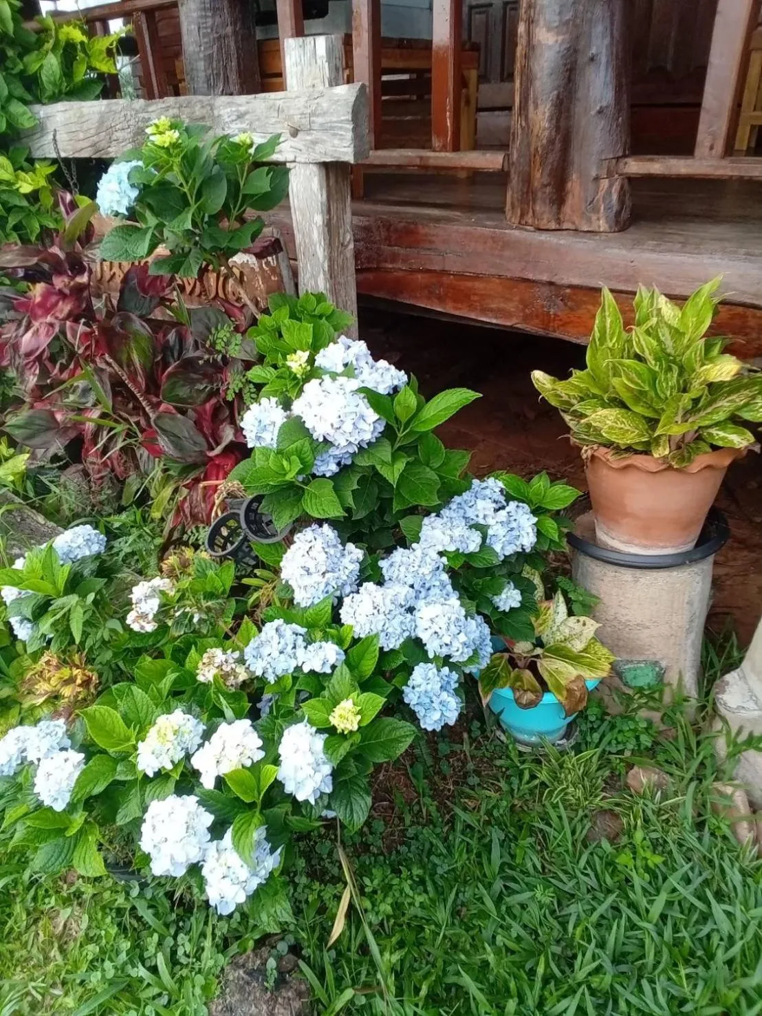 Phu Aram Khao Kho Resort