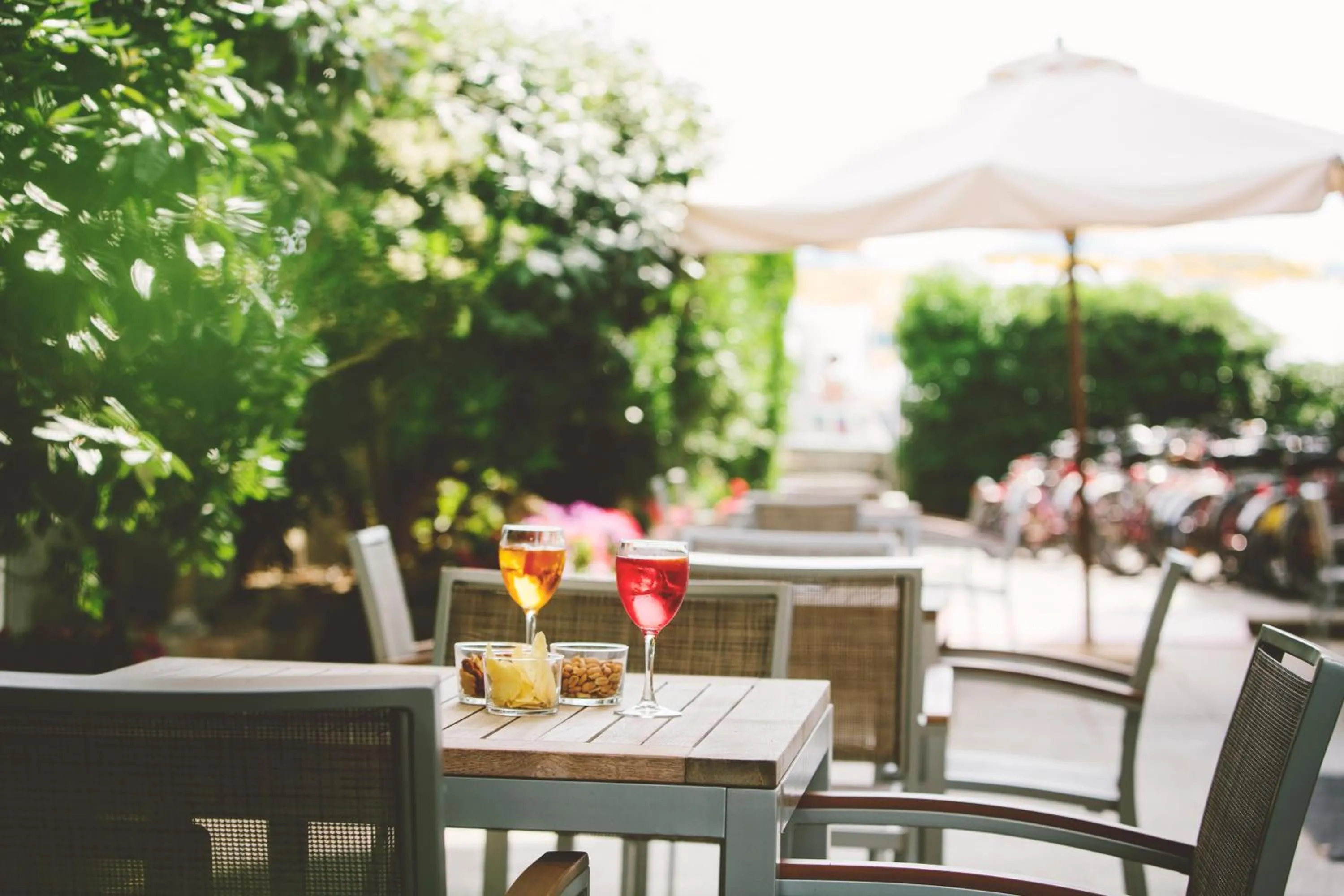 Garden in Hotel Marco