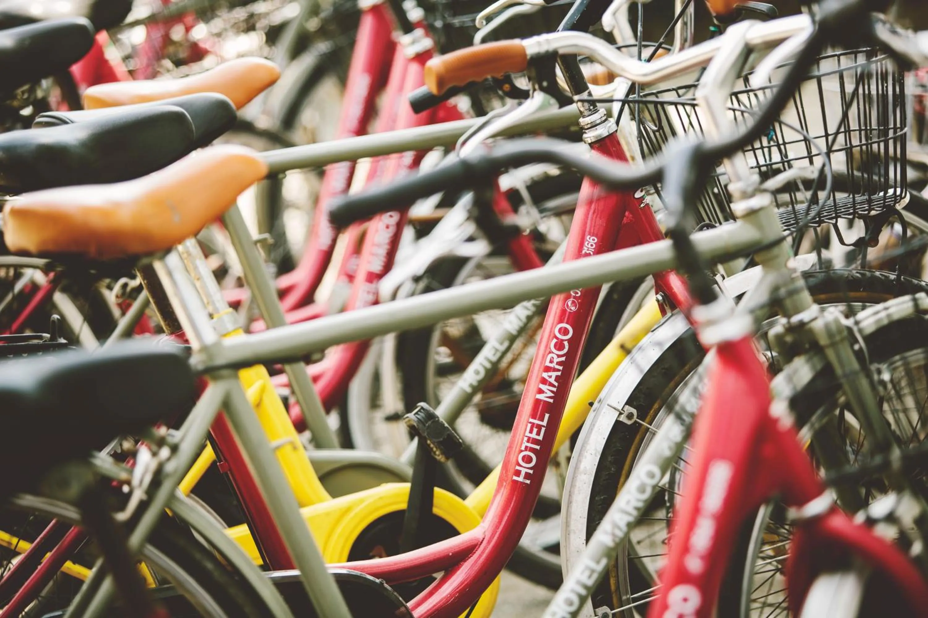 Cycling in Hotel Marco