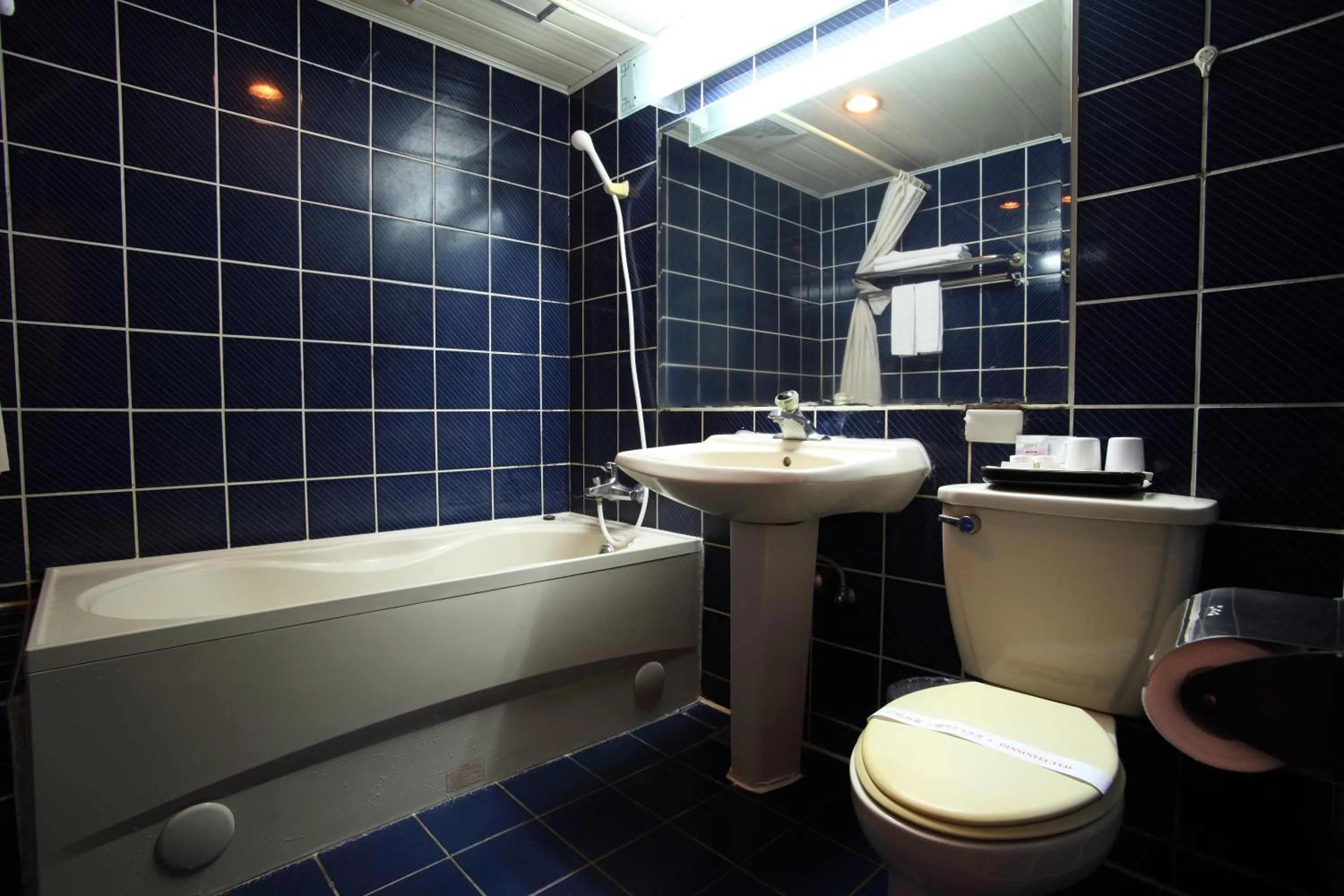 Toilet in Nan Tou Hotel