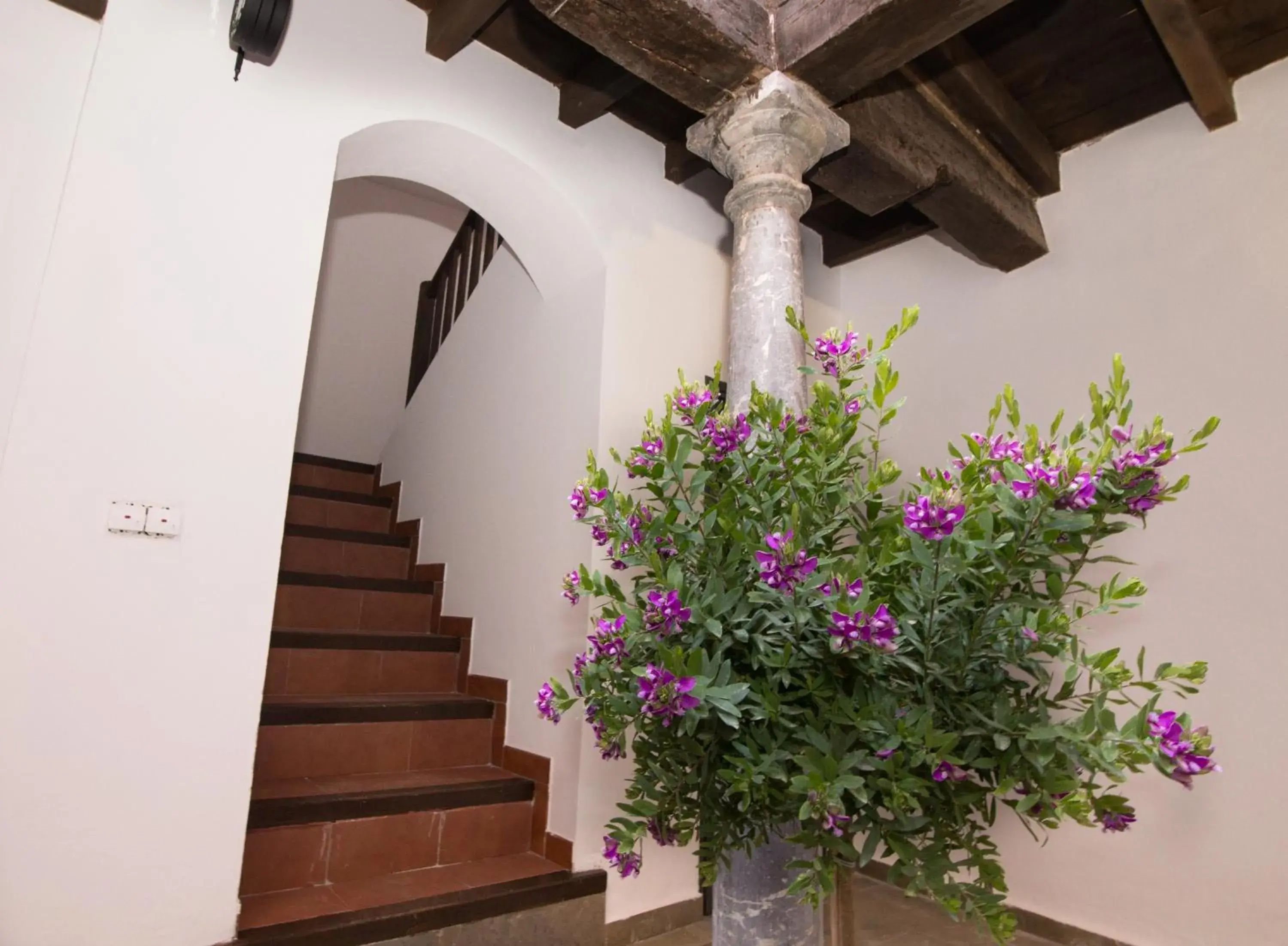 Property building in Apartamentos Nahira Suites 3000 Property building in Apartamentos Nahira Suites 3000