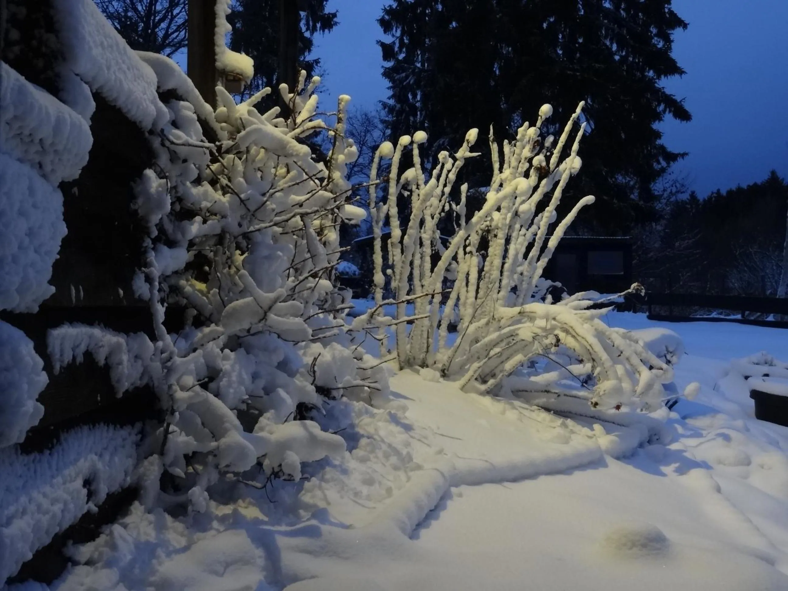 Garden in La Fermette Blanche