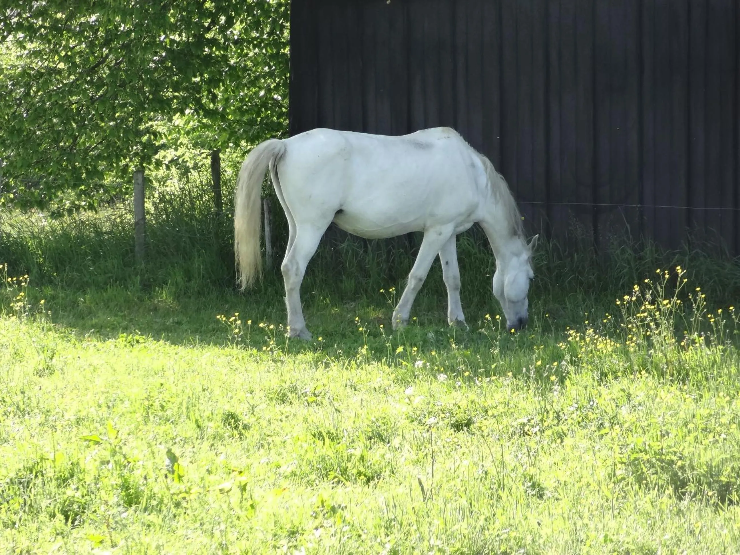 Natural landscape in La Fermette Blanche