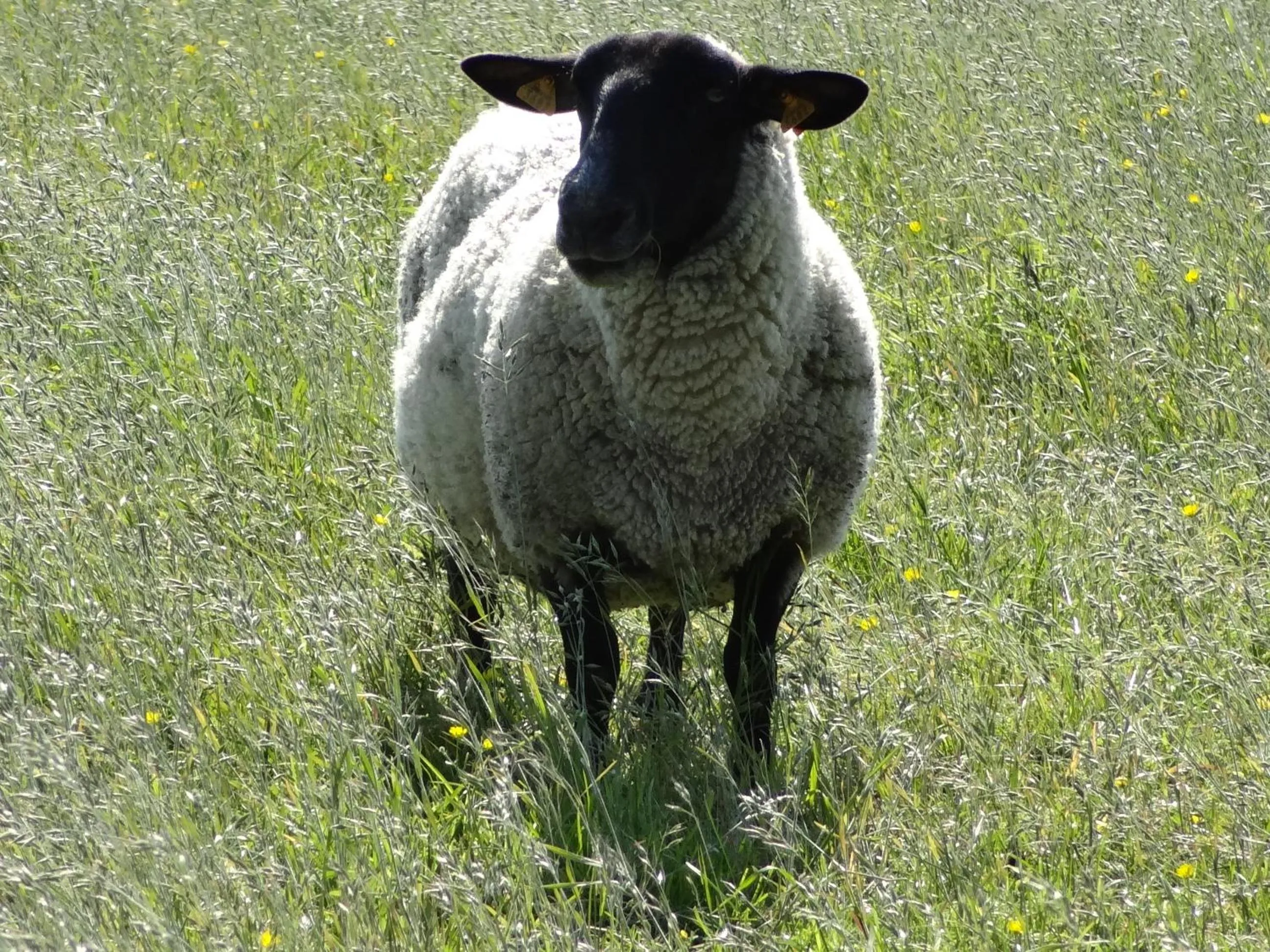 Natural landscape in La Fermette Blanche