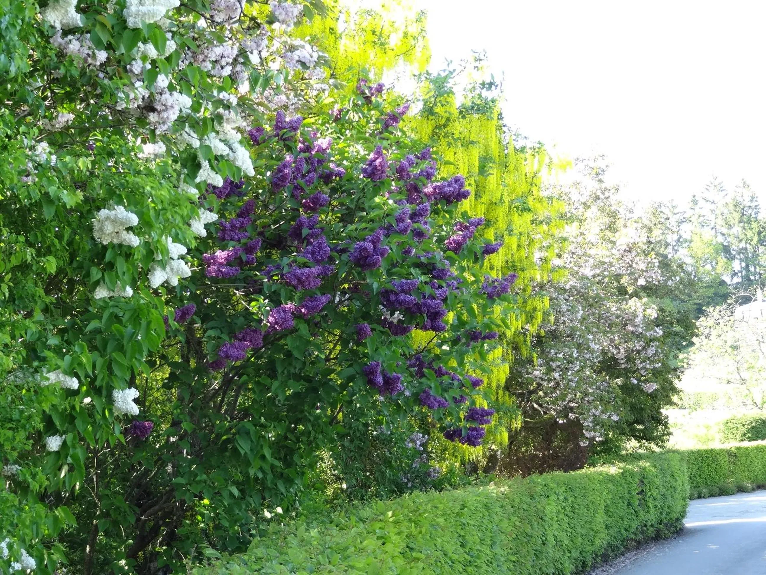 Natural landscape in La Fermette Blanche