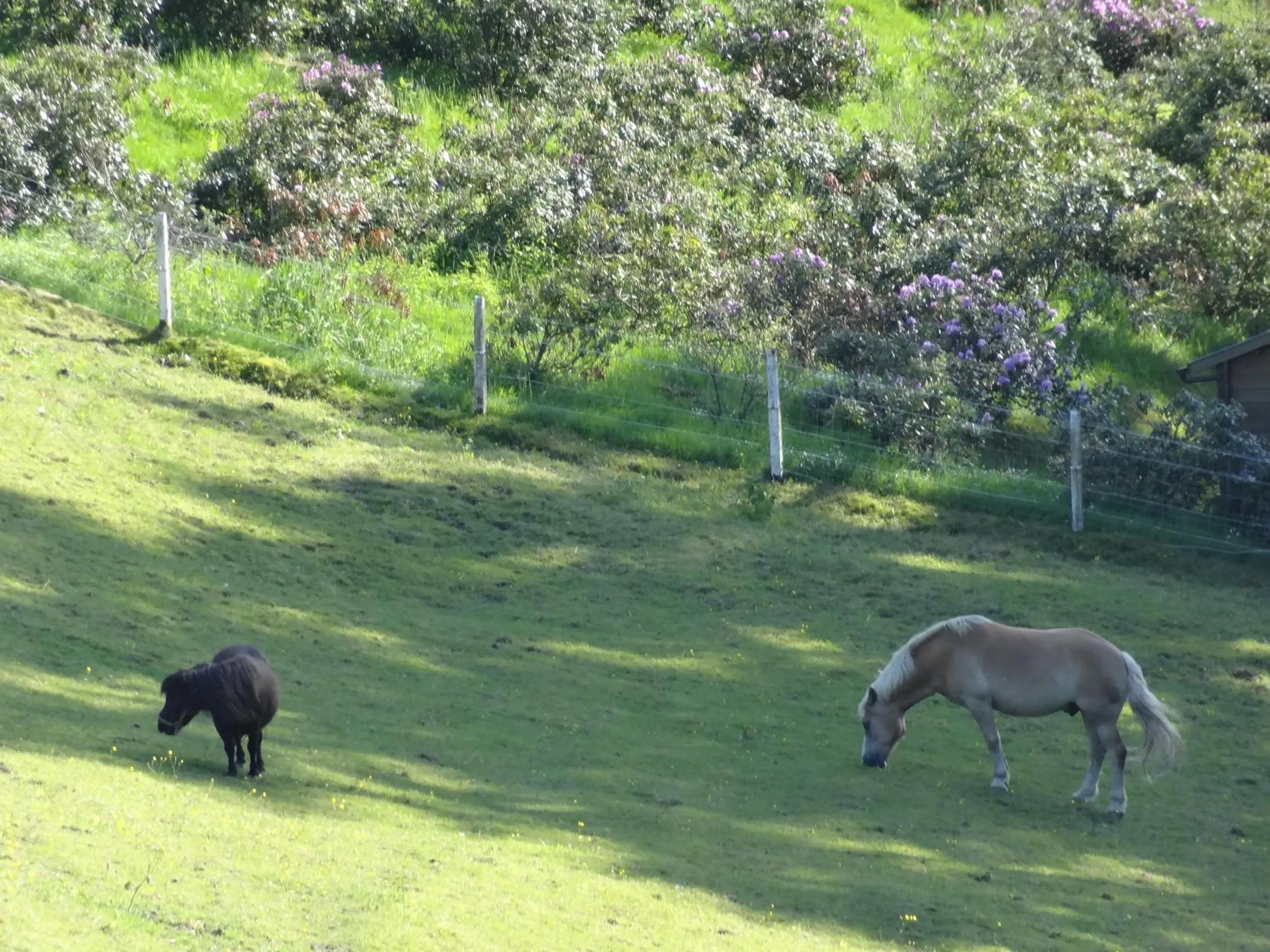 Natural landscape in La Fermette Blanche