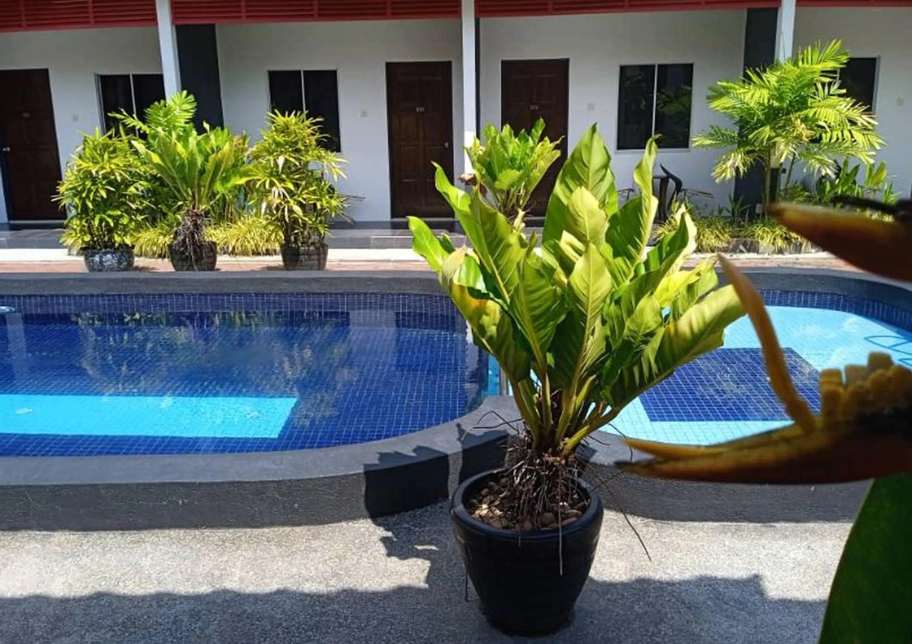 Swimming pool in Anjung Villa