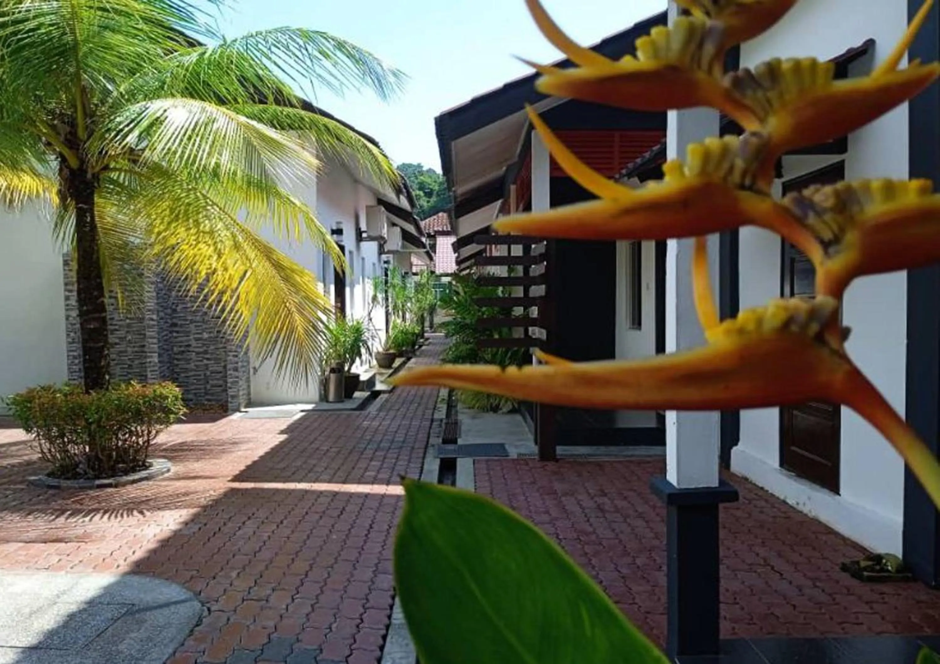 View (from property/room) in Anjung Villa