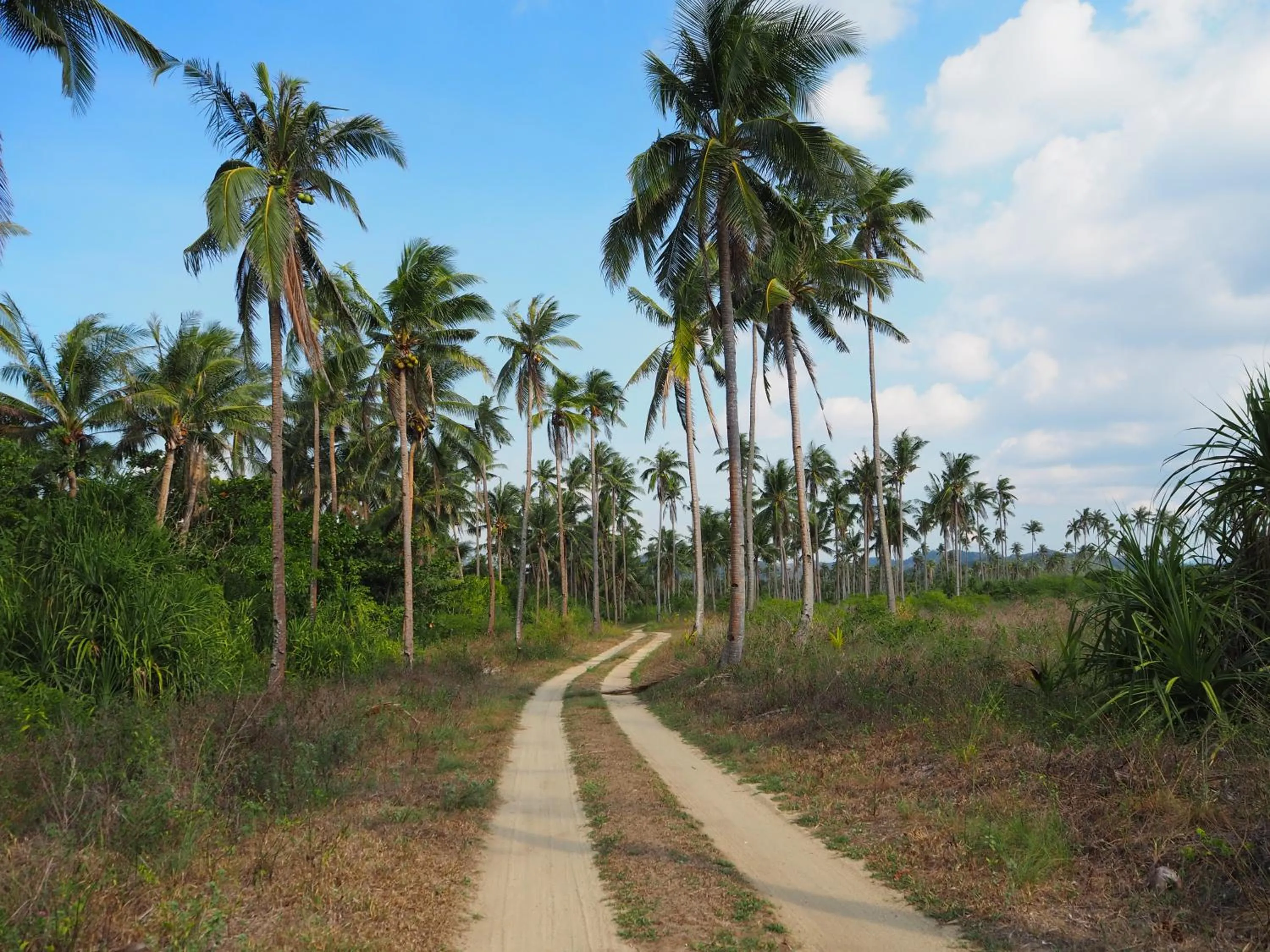 Facade/entrance in Footprints Beach Resort