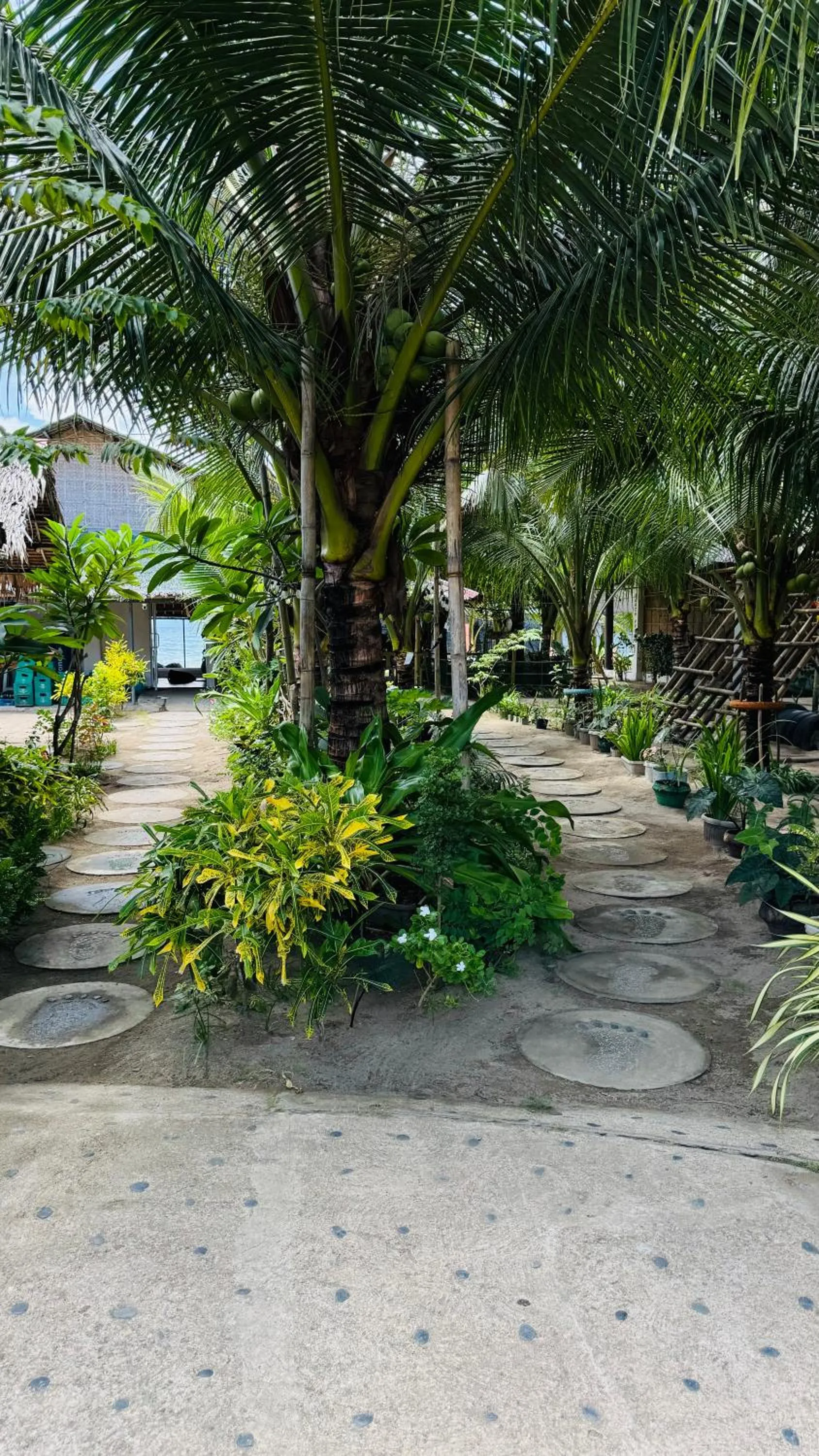 Natural landscape in Footprints Beach Resort