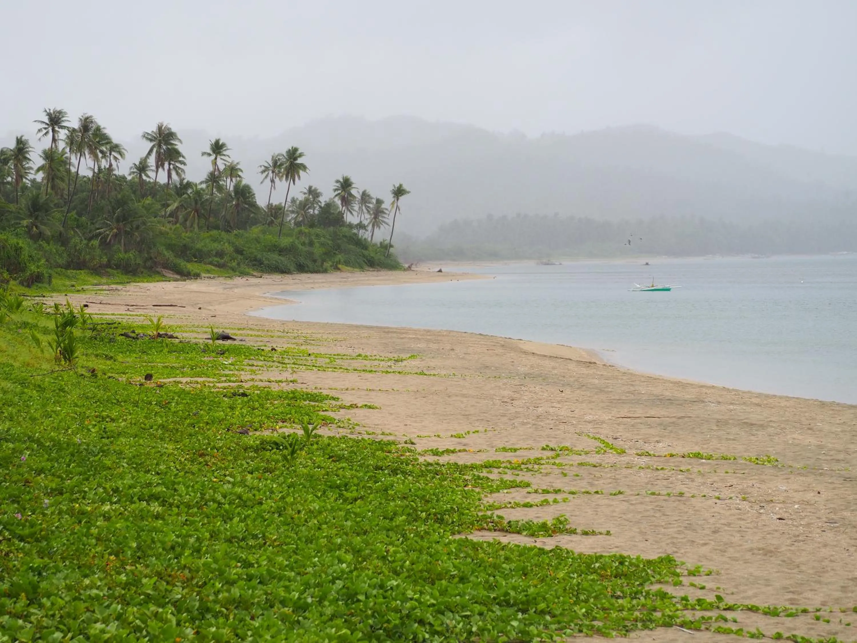 Beach in Footprints Beach Resort