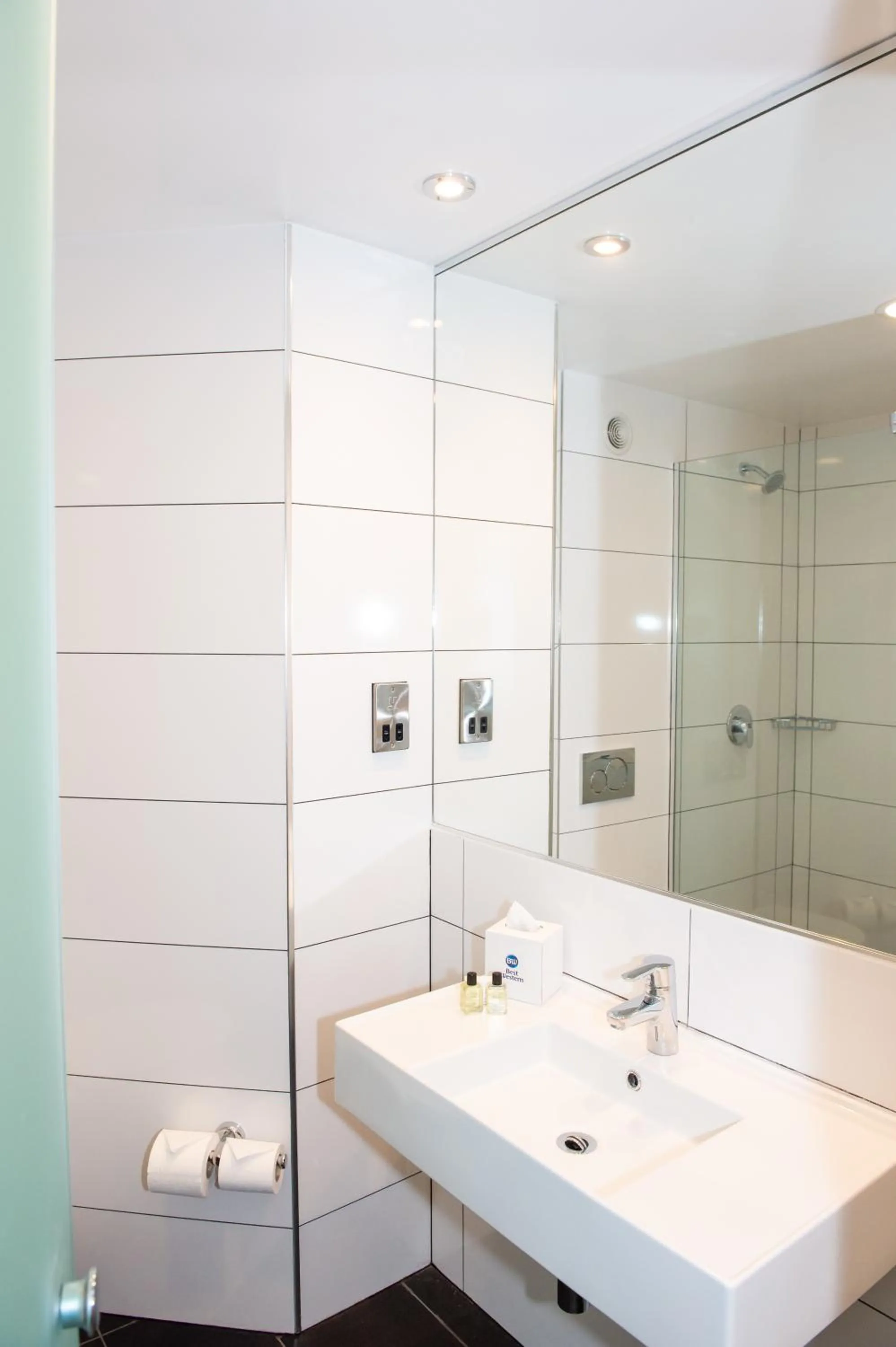 Shower in Best Western Appleby Park Hotel