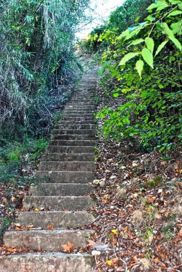 Hotel rural HD Riudebitlles art i allotjament