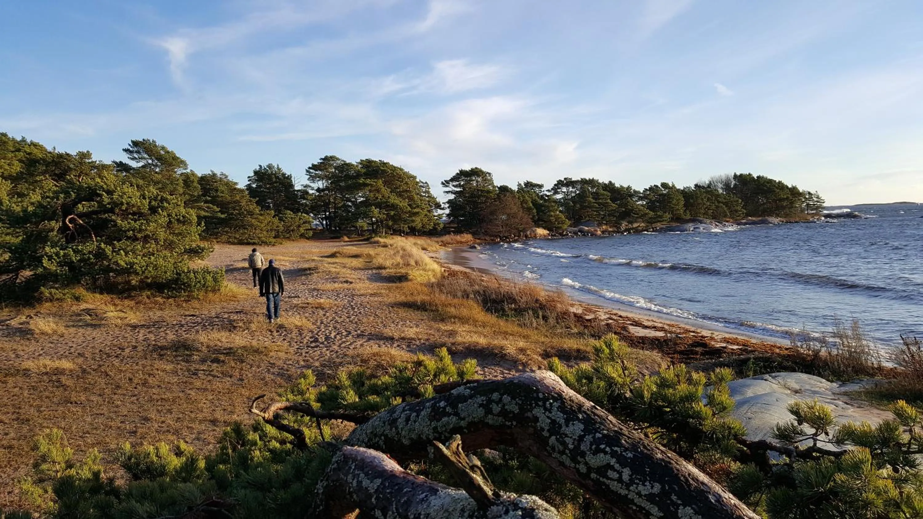 Beach in Missionshuset Bed & Breakfast