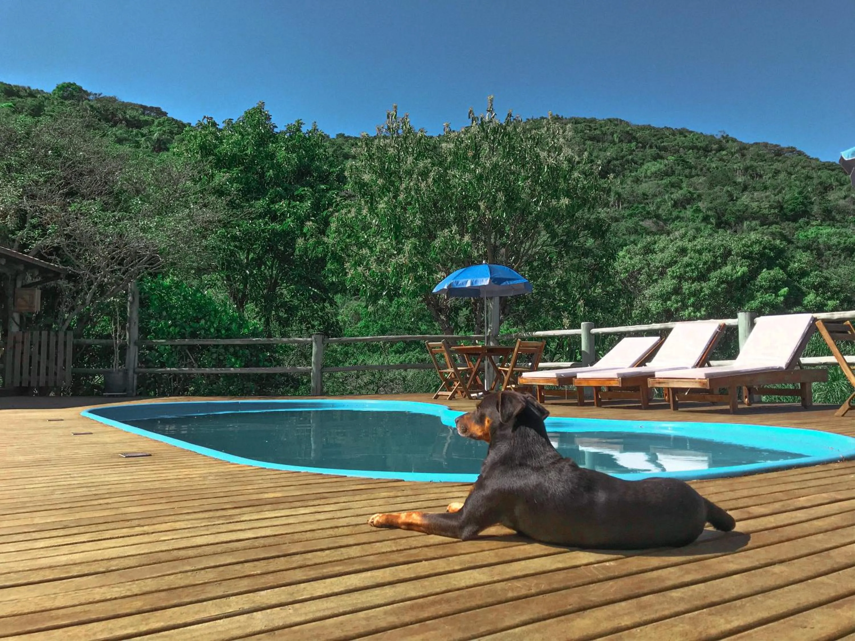 Swimming pool in Doce Cabana Pousada