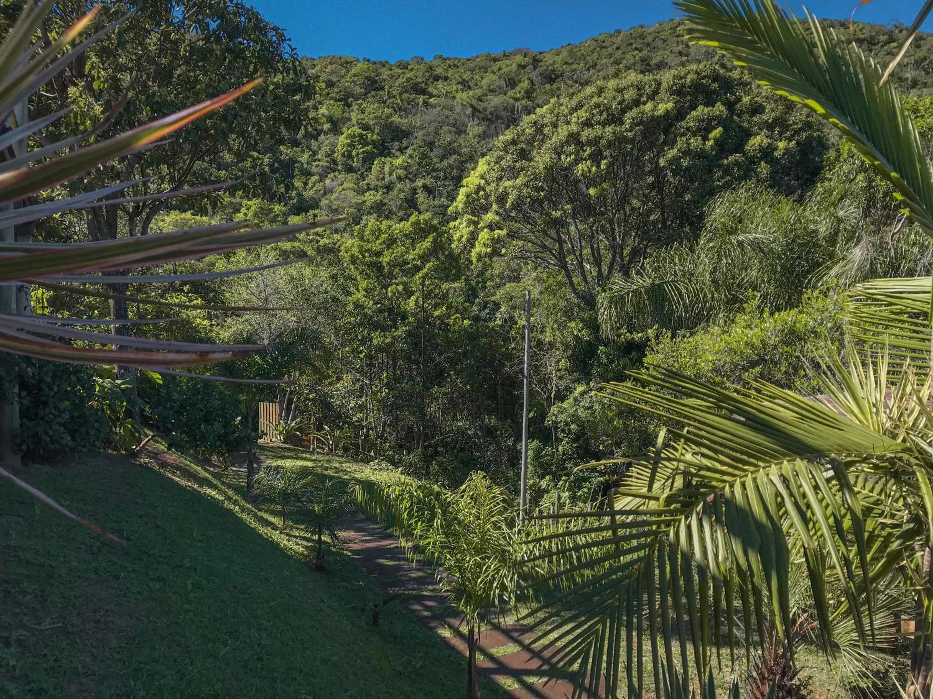 Garden view in Doce Cabana Pousada