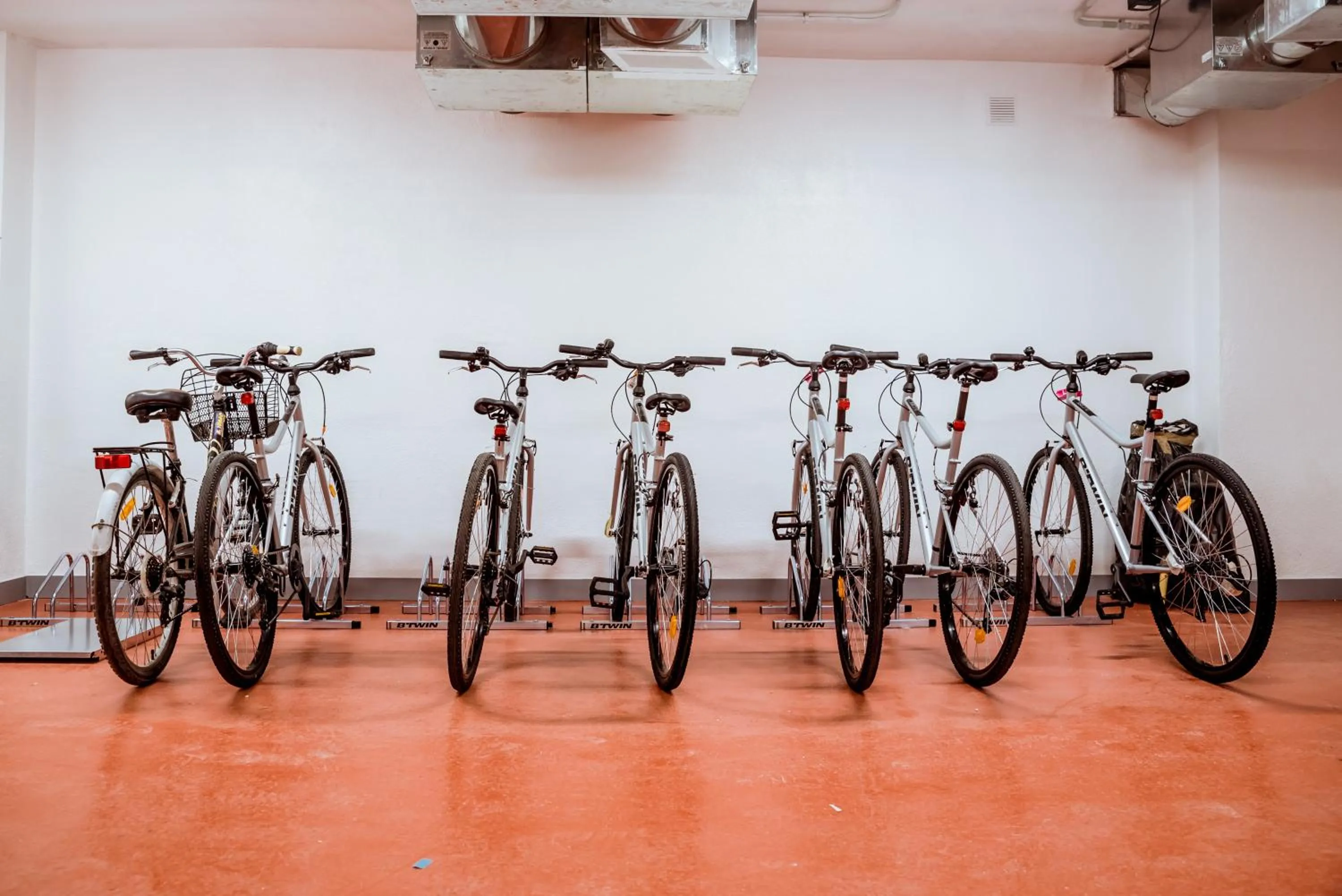 Activities in AMISTAT Island Hostel Ibiza - ALBERGUE JUVENIL