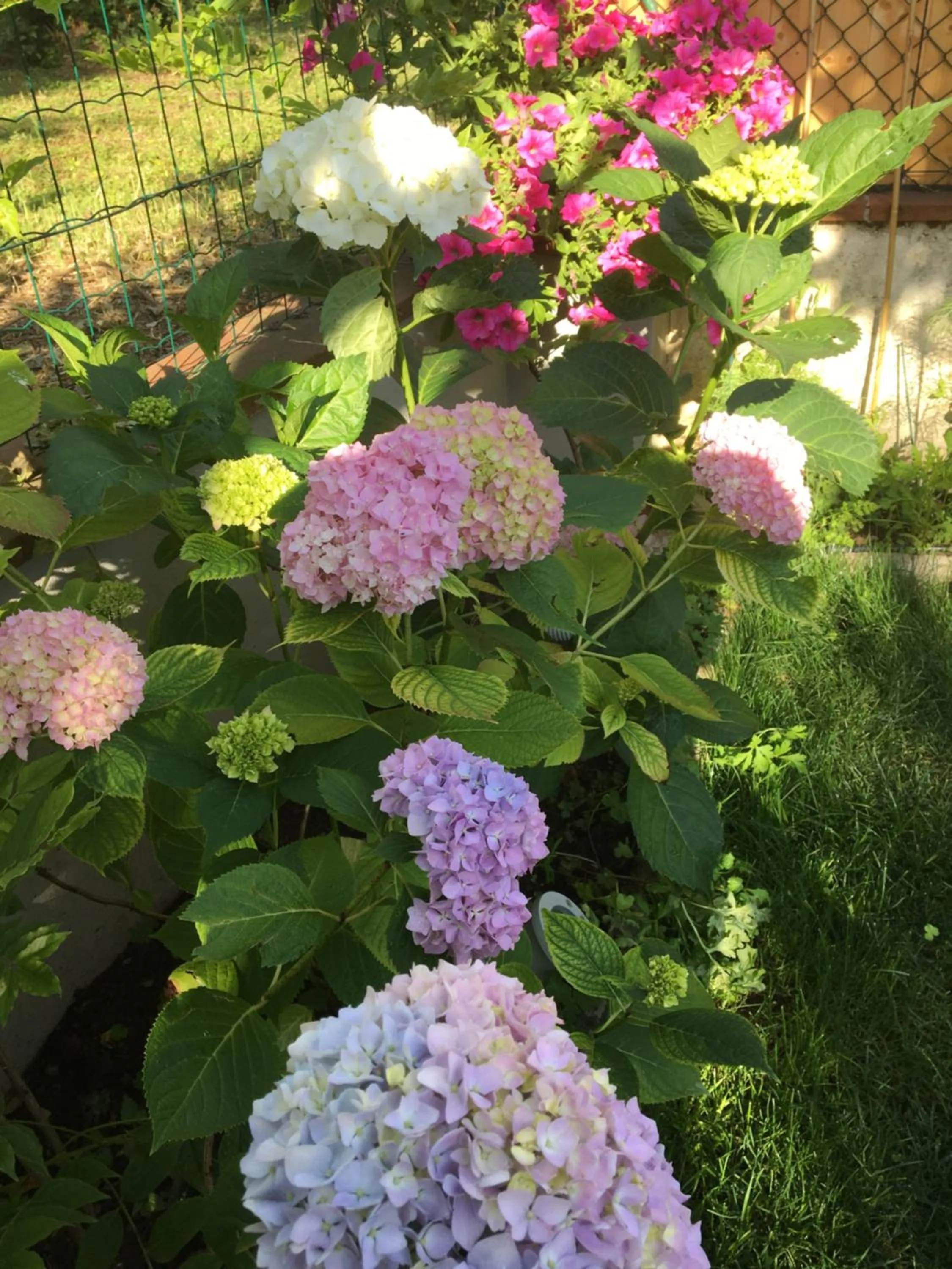 Garden in La Fonderia Firenze