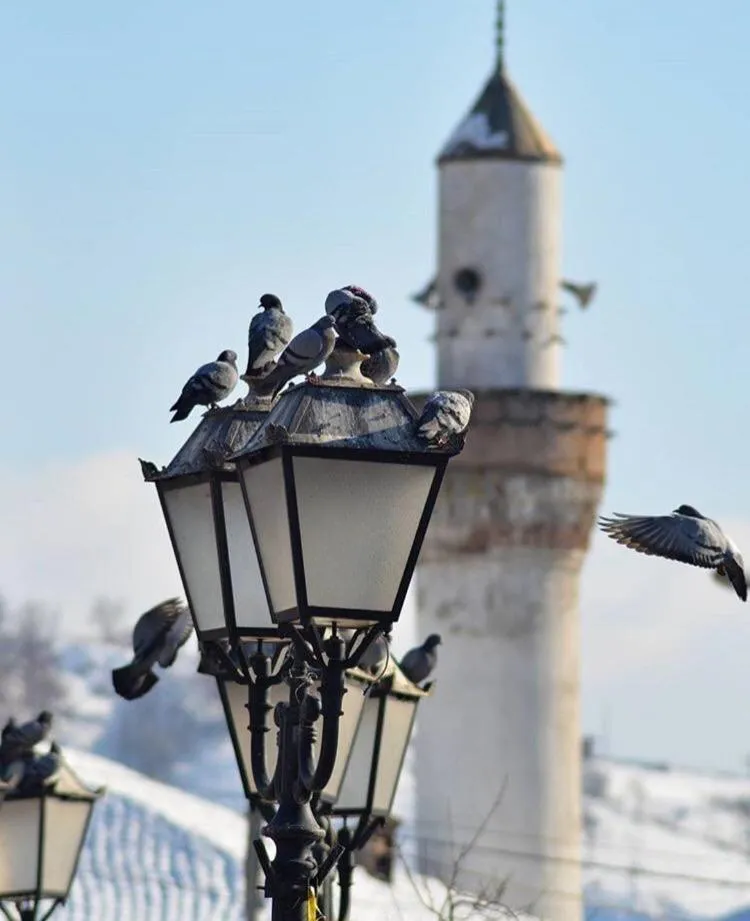 Prenociste&Restoran DM