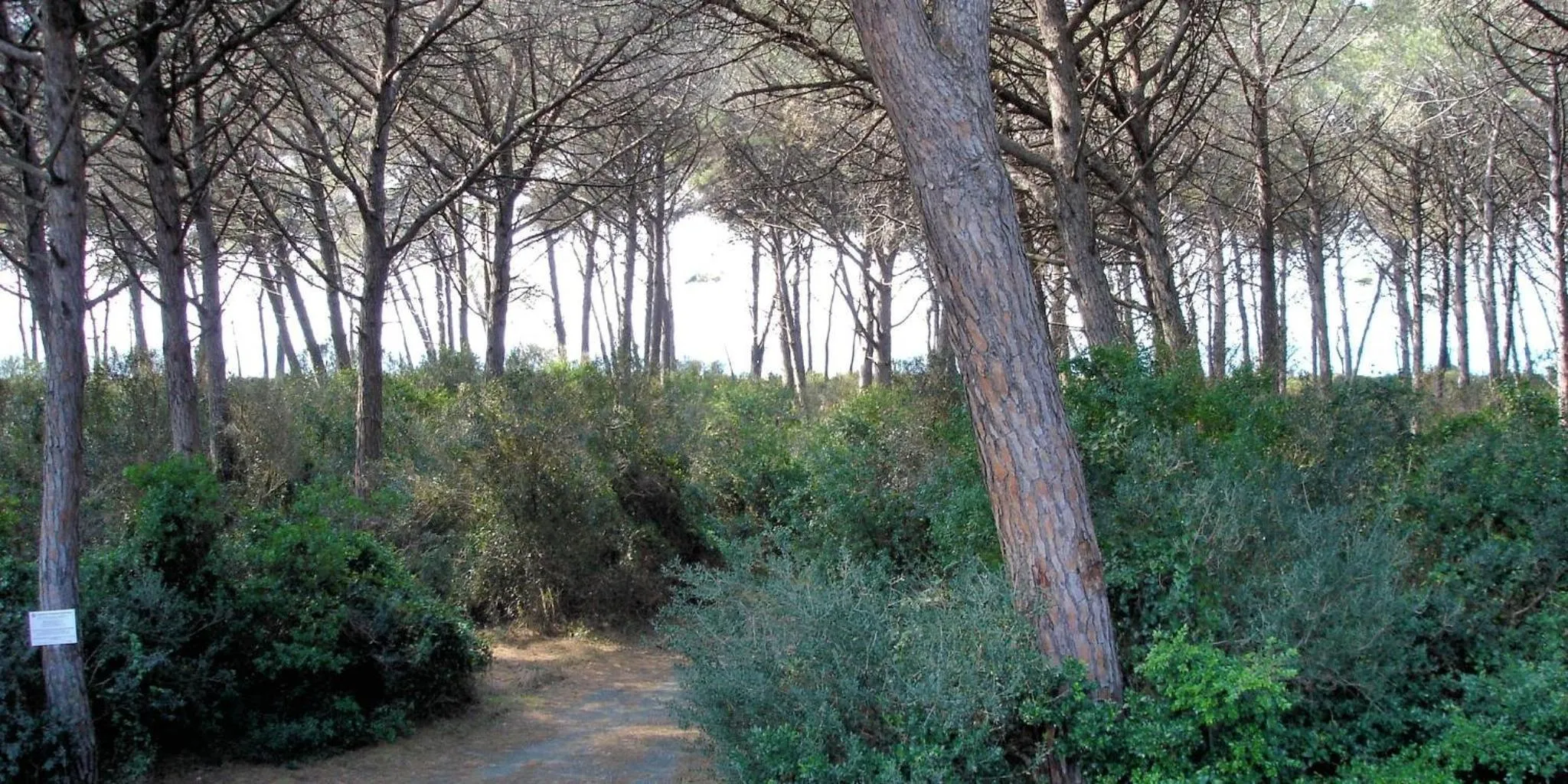 Natural landscape in Oleandri Suite Hotel