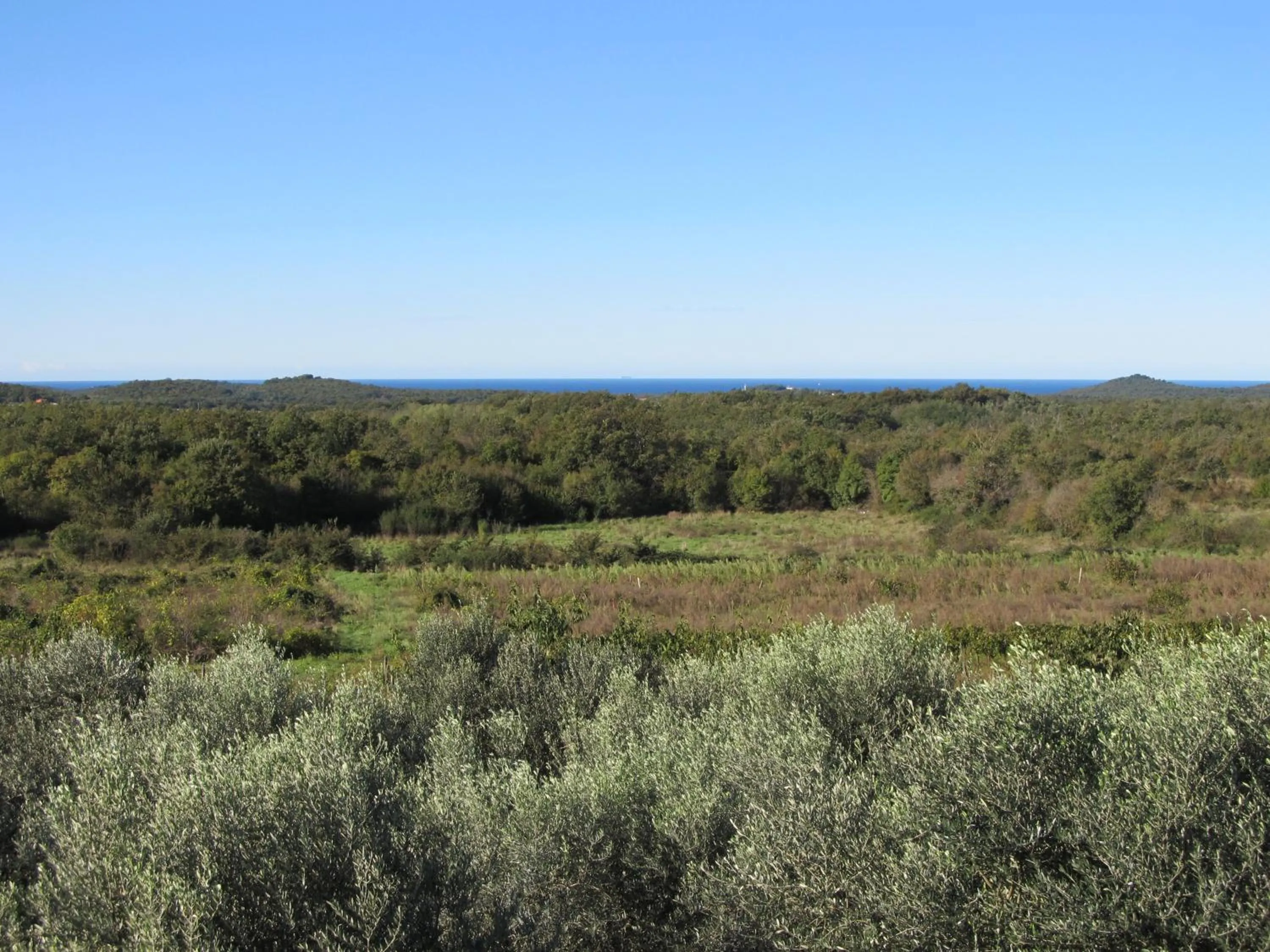 Natural landscape in Holiday Home Vinkovic