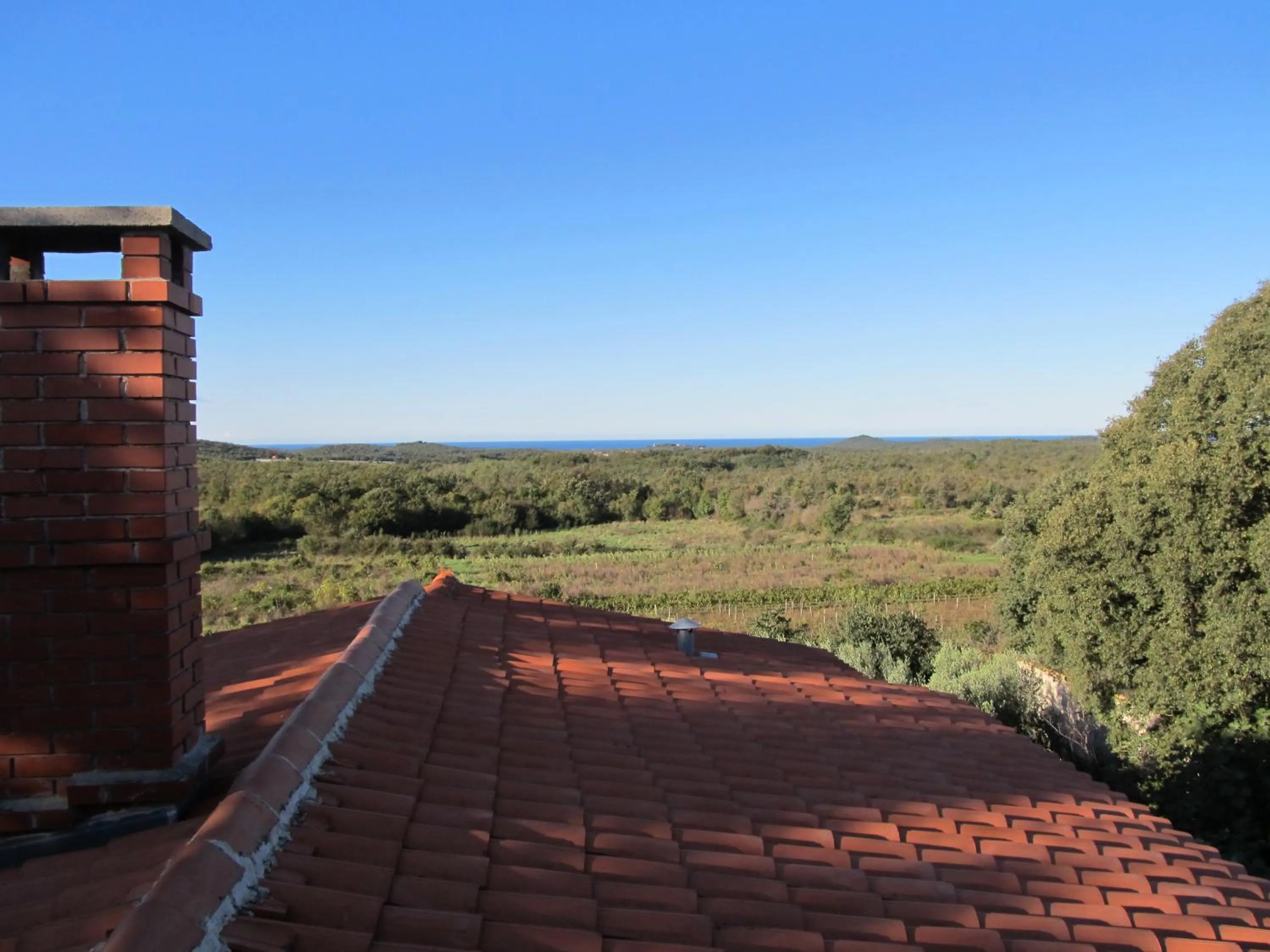 Garden view in Holiday Home Vinkovic