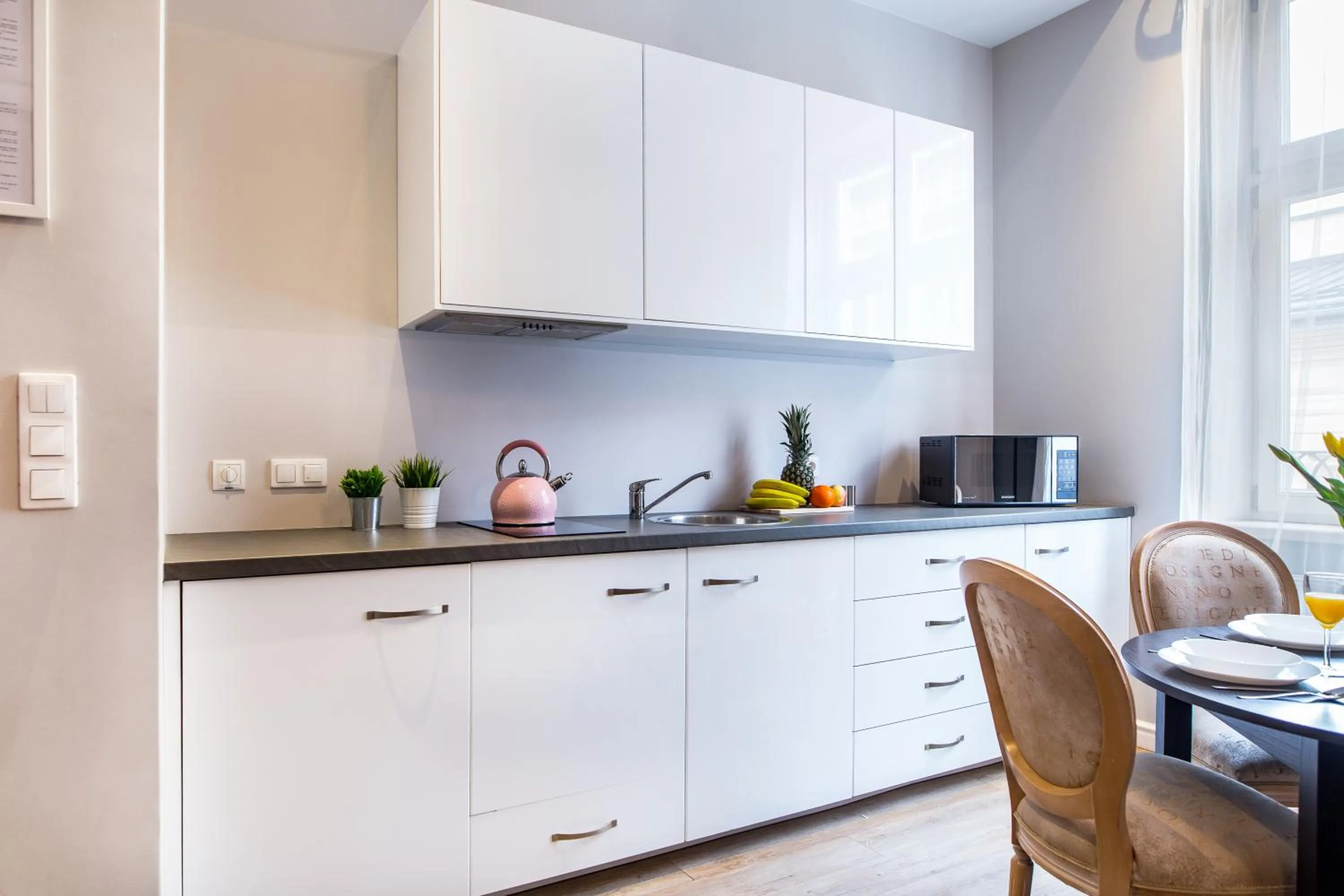 Kitchen or kitchenette in Cracow Rentals Zacisze