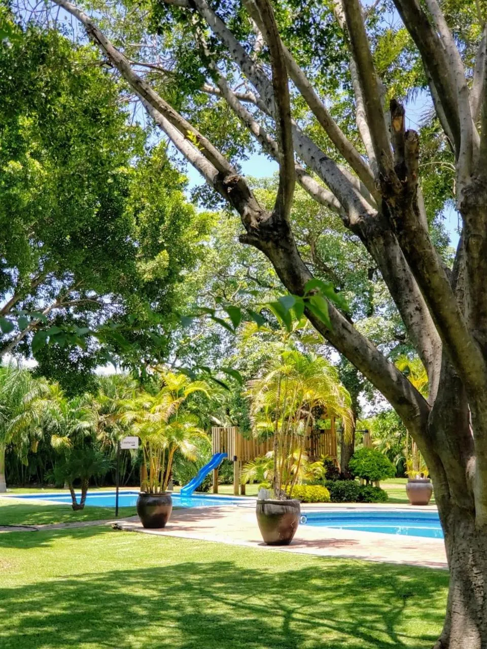 Garden in Radisson Hotel Cuernavaca