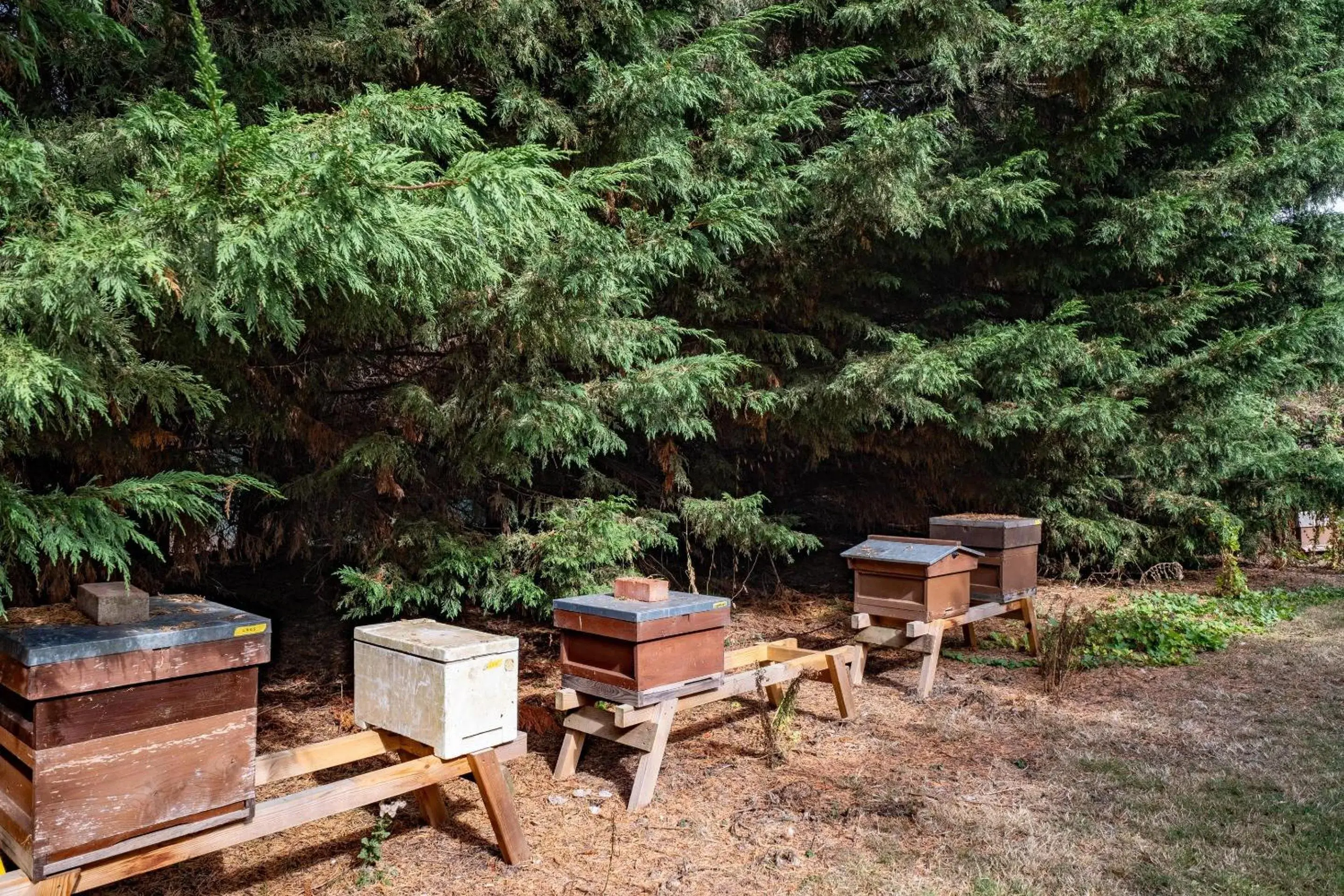 Property building in Clarion Hotel Charlecote Pheasant Property building in Clarion Hotel Charlecote Pheasant
