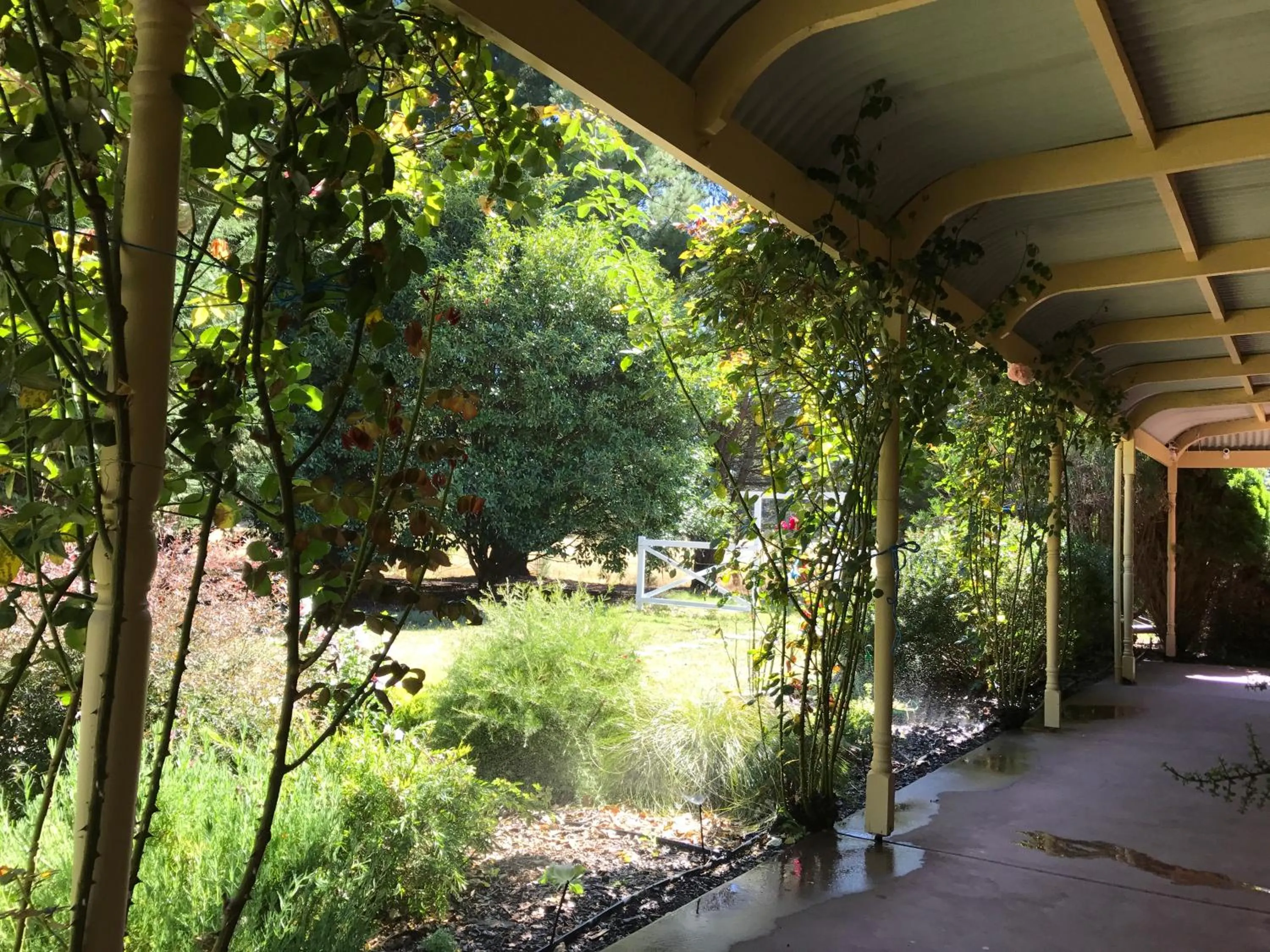 View (from property/room) in Helen's Homestead