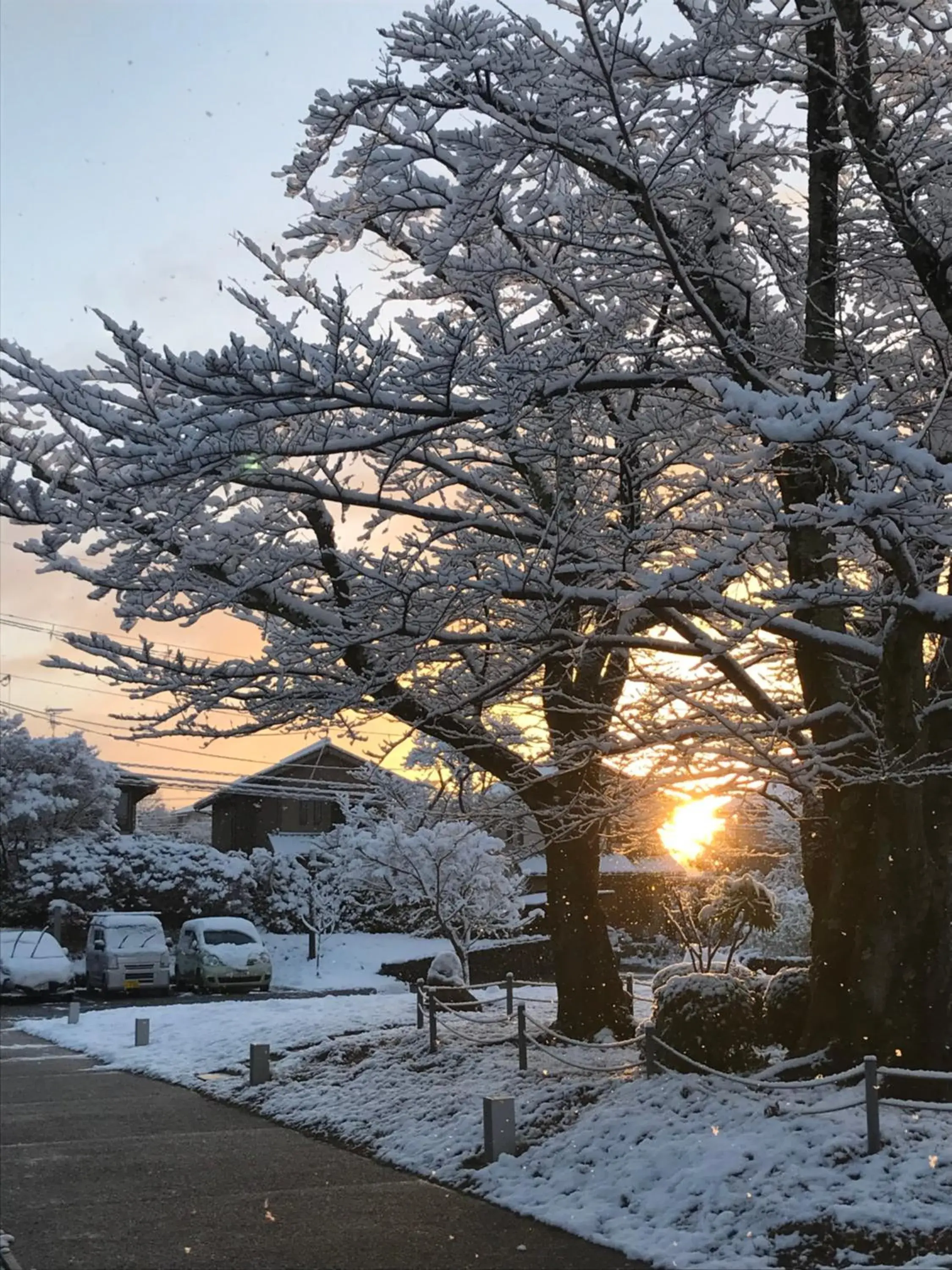 Property building in Kyoto Utano Youth Hostel Property building in Kyoto Utano Youth Hostel