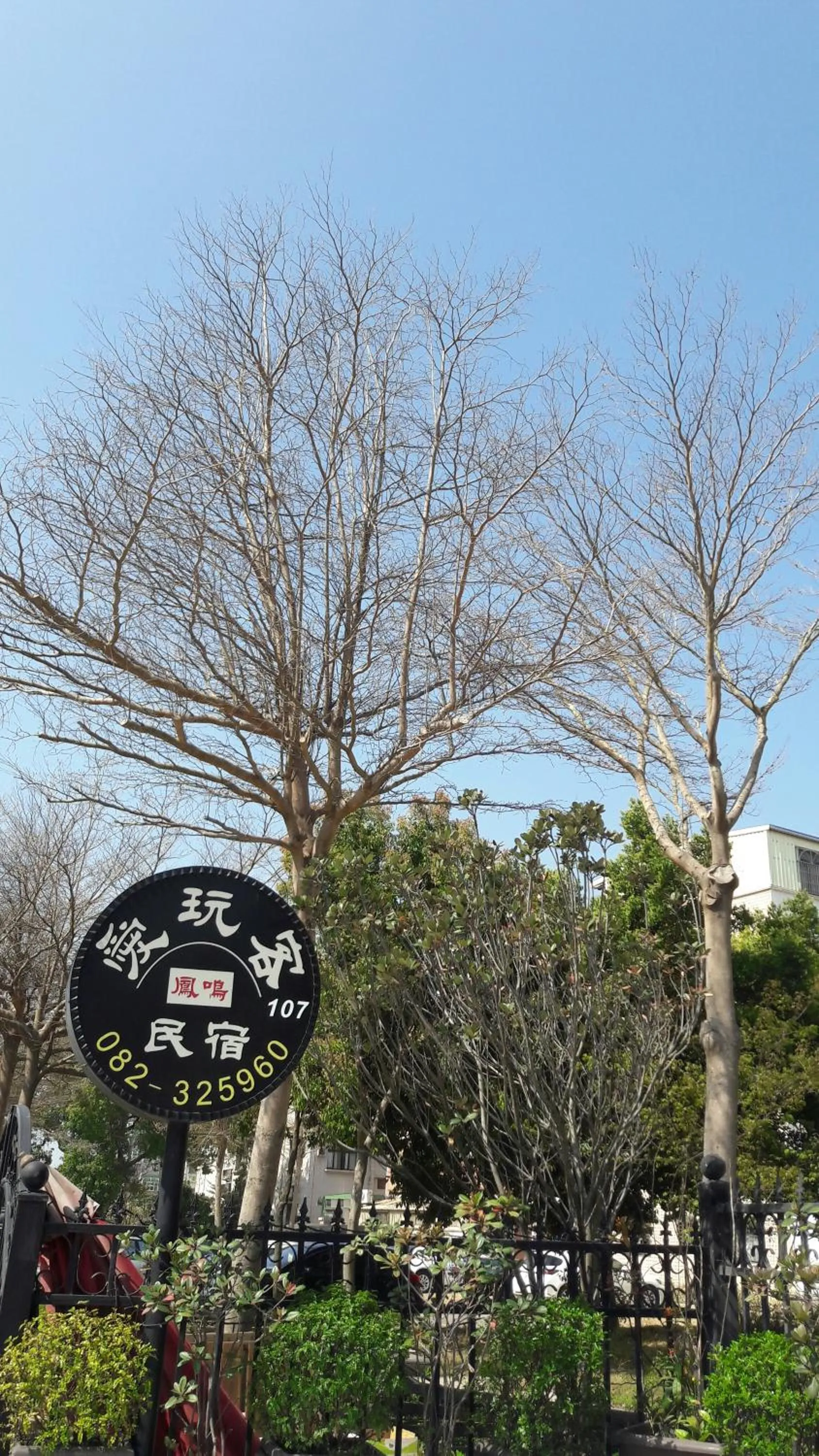 Fengming B&B
