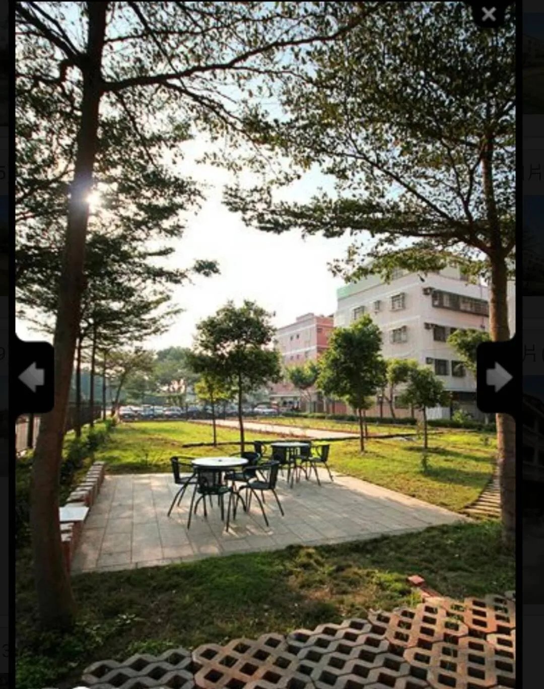 Fengming B&B