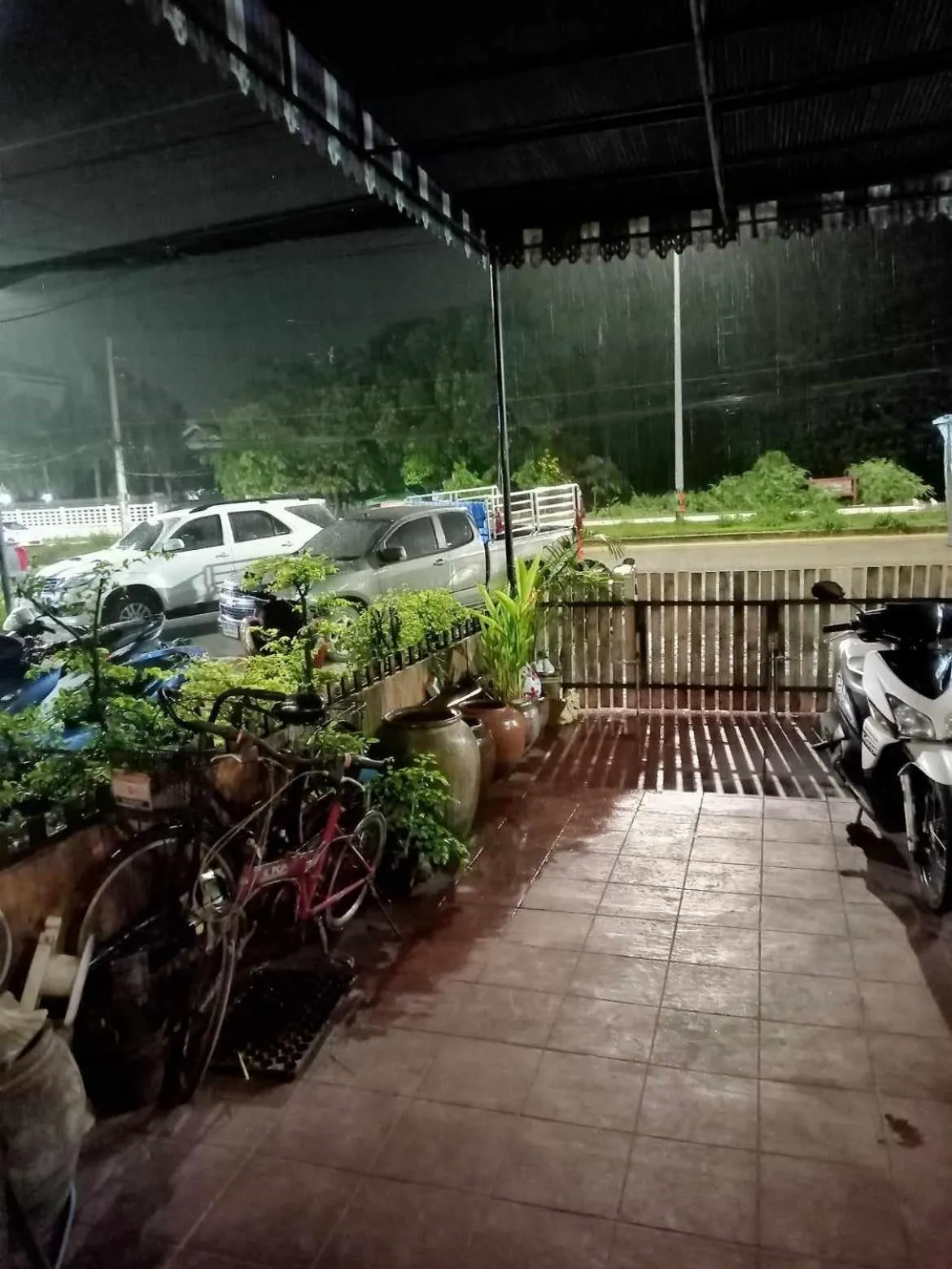 Garden in Muster House