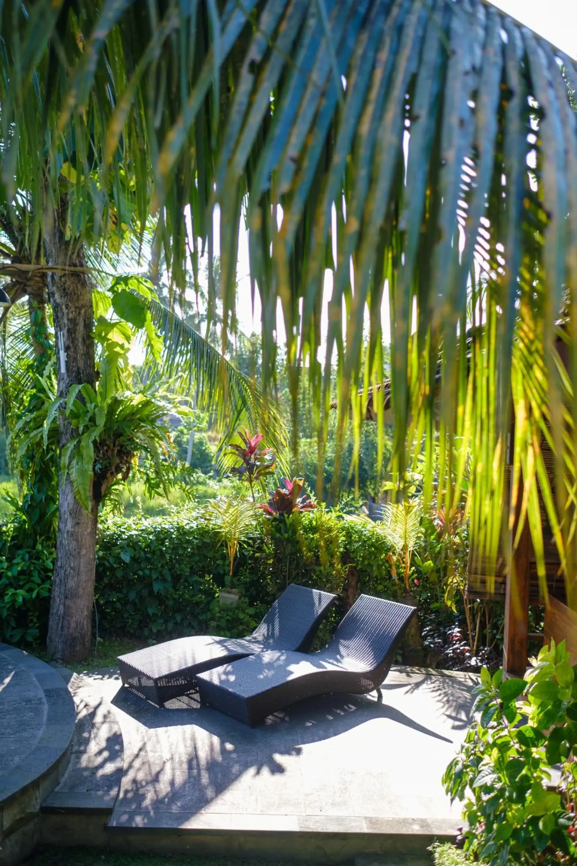 Garden view in Puri Kobot Garden view in Puri Kobot