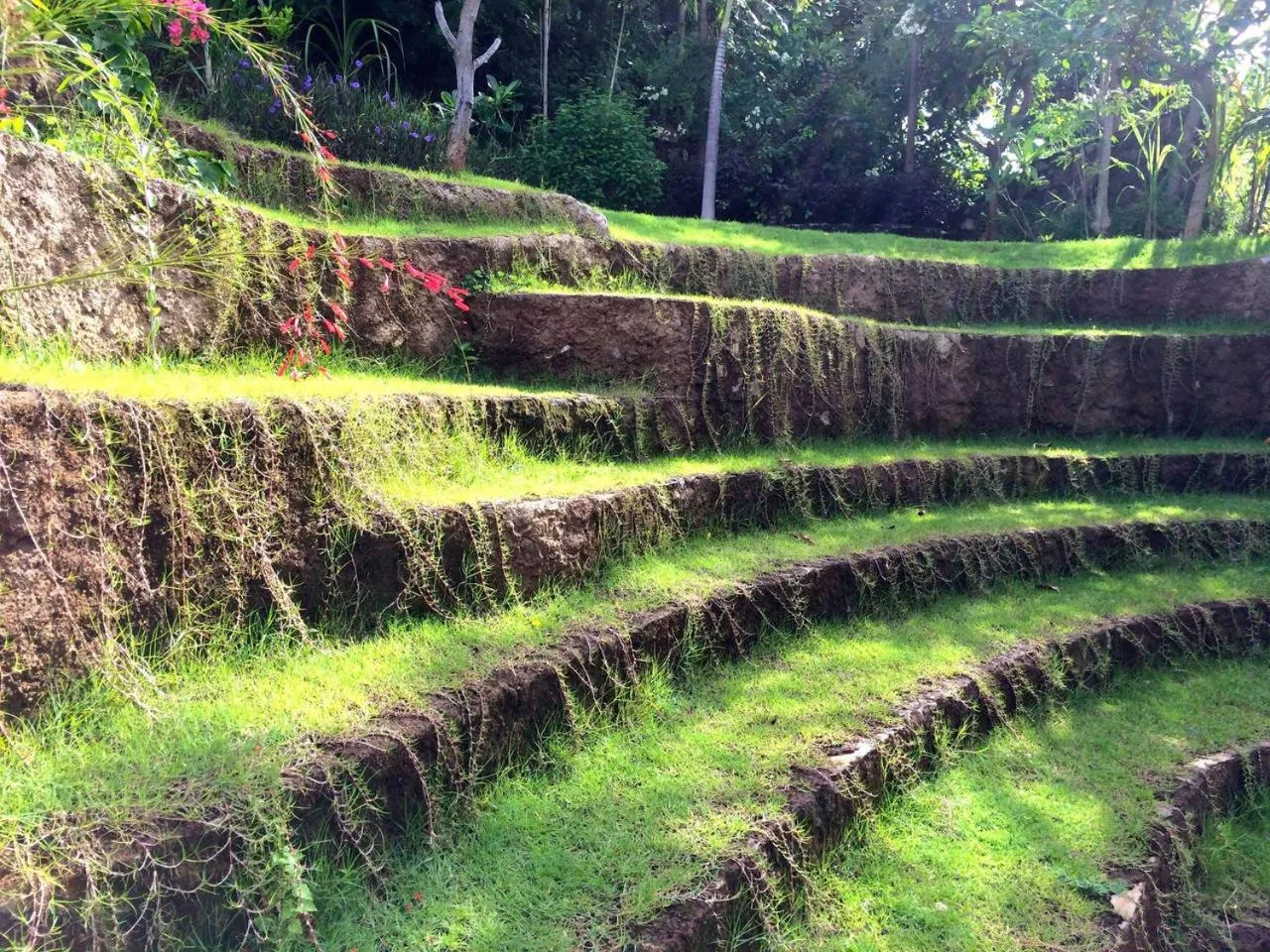 Sing Sing Resort Lovina