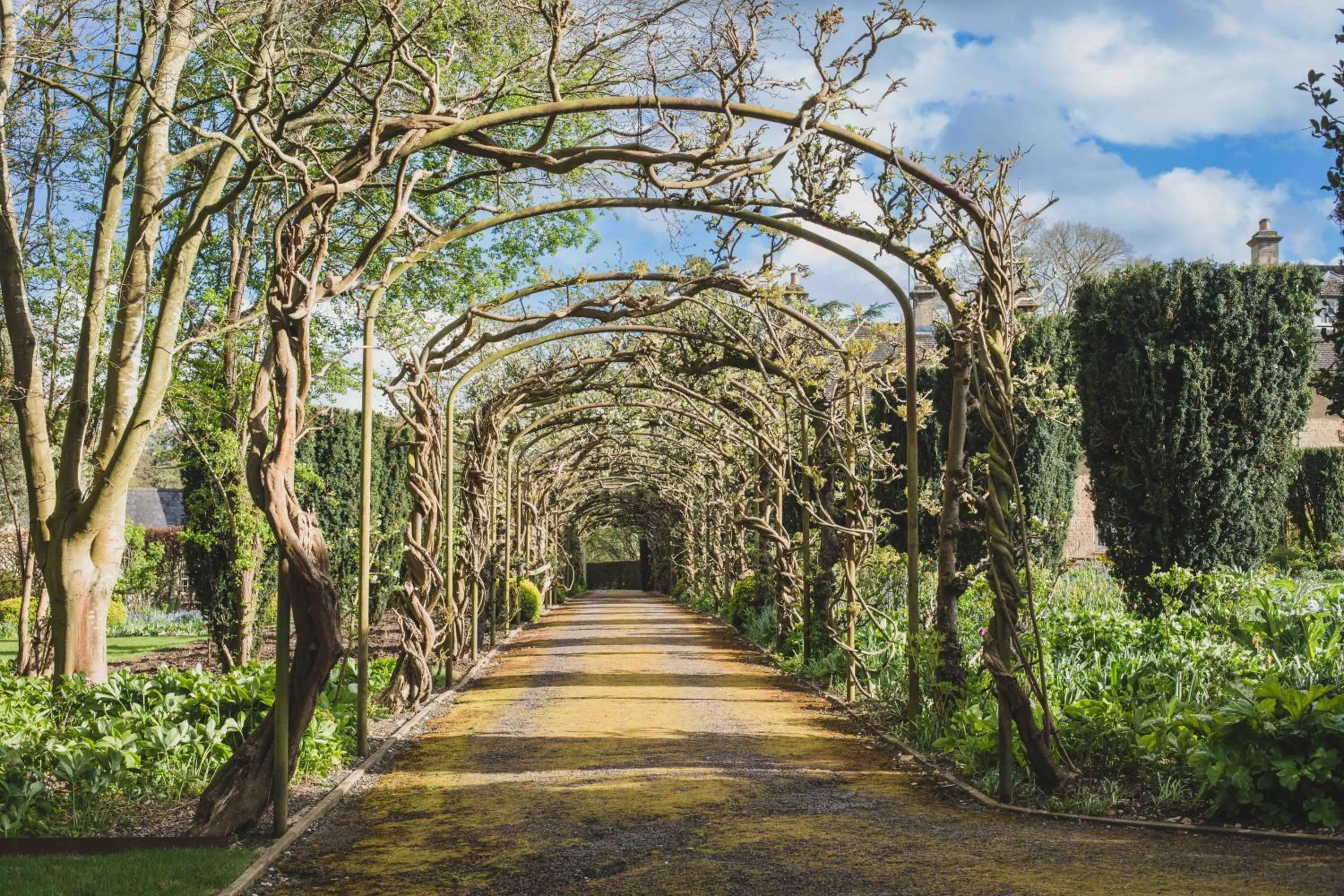 Garden in Sandown Cottage