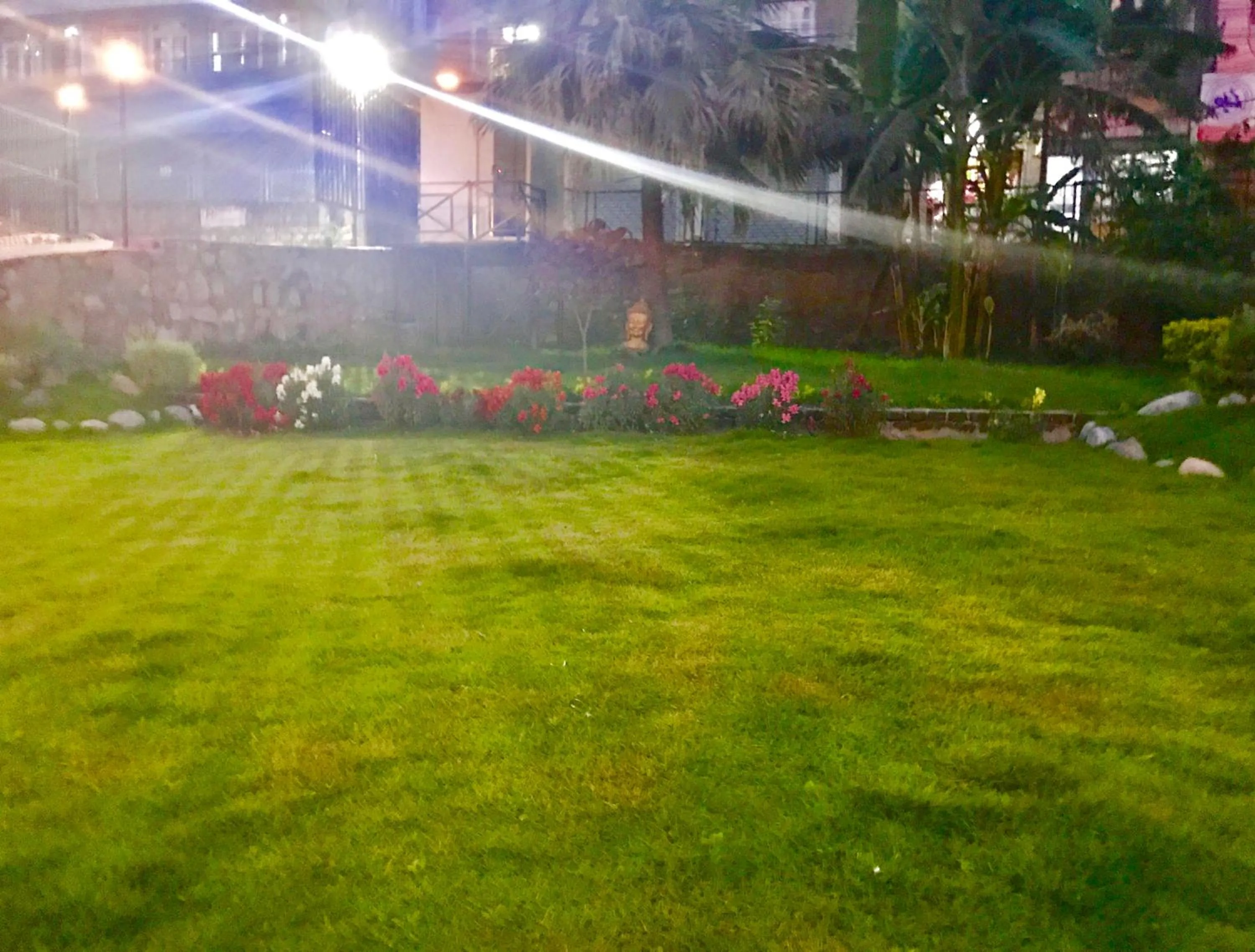 Spring in Hotel Hema