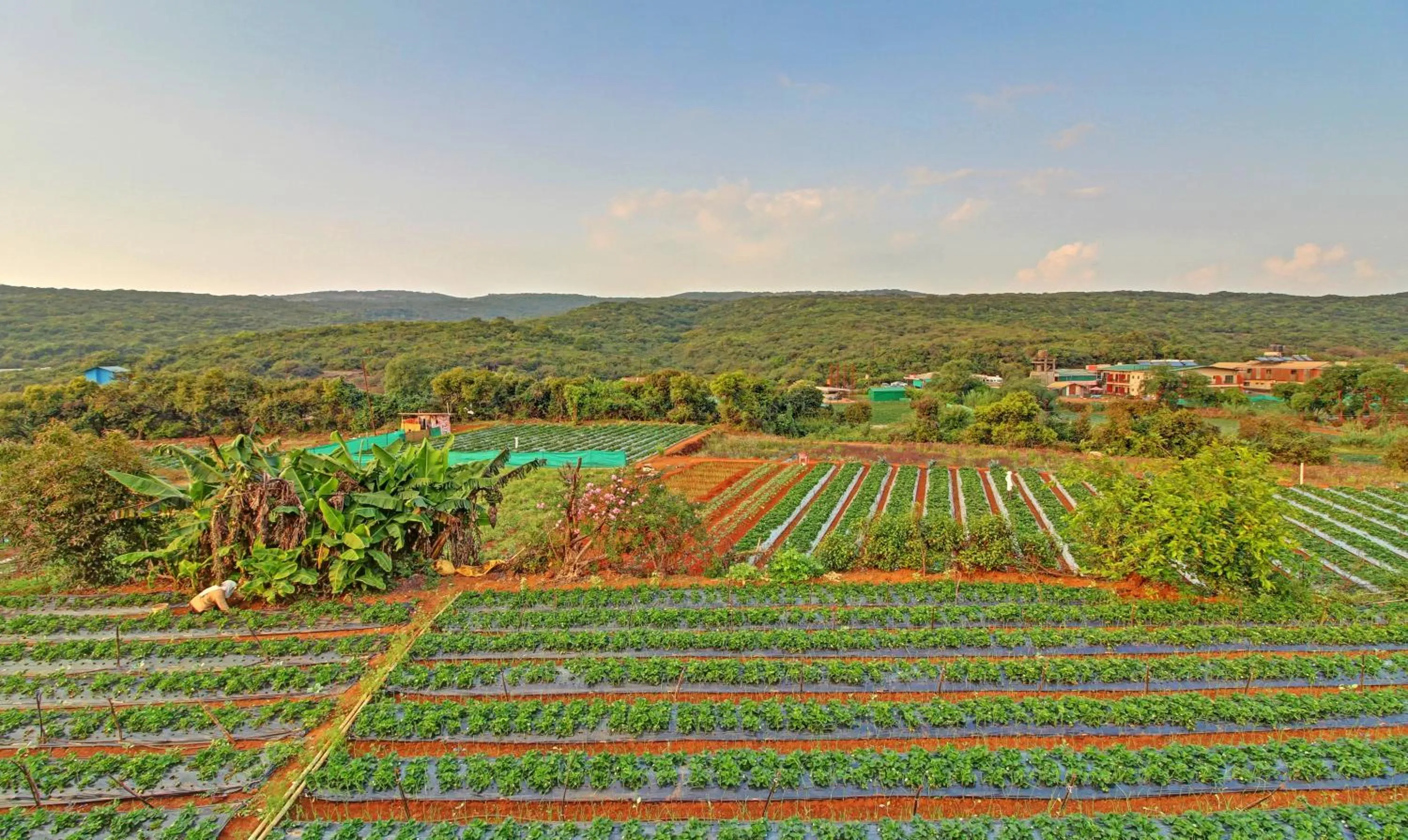 Natural landscape in Treebo Berry Hill Venna Lake, 3 Km From City Center