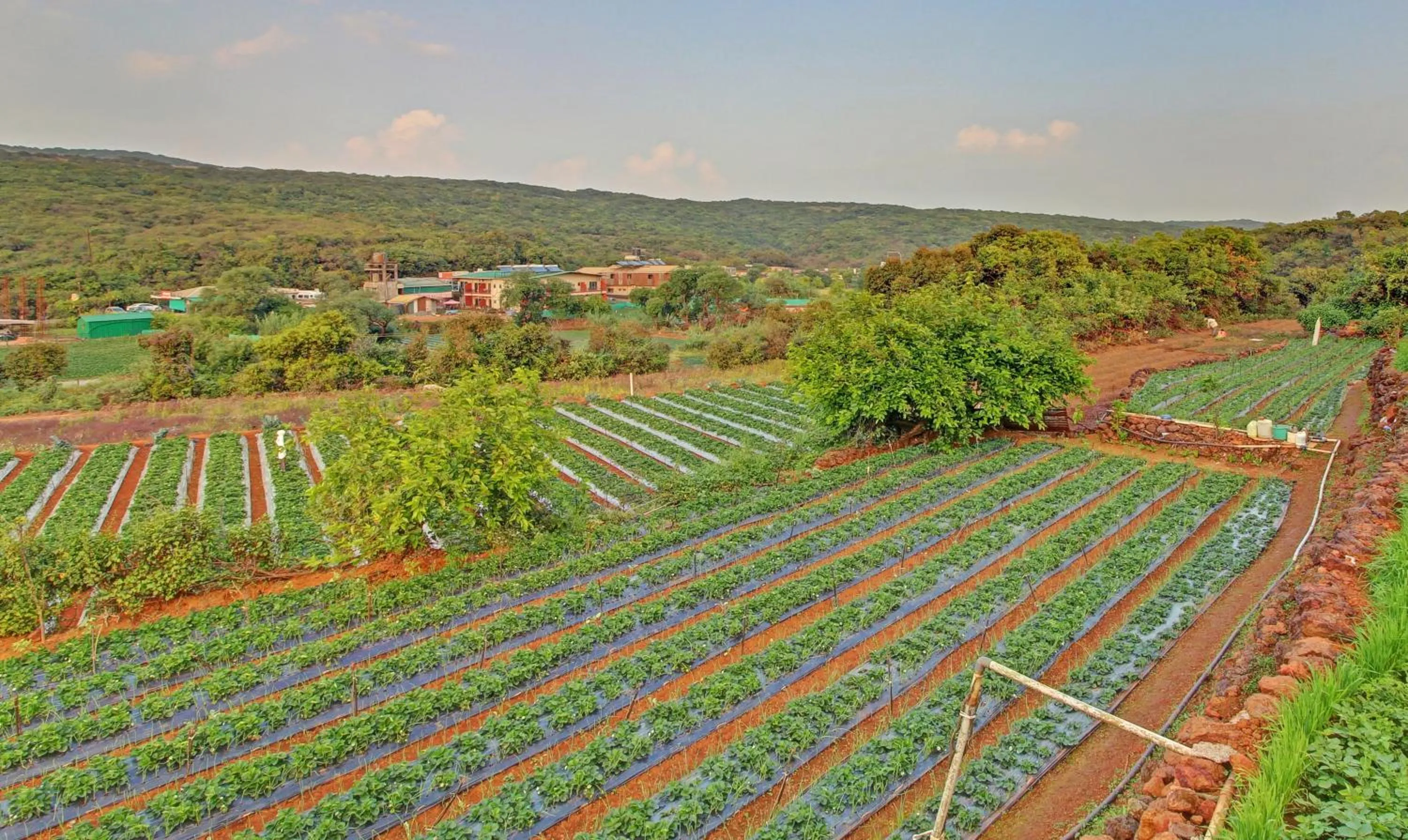 Natural landscape in Treebo Berry Hill Venna Lake, 3 Km From City Center