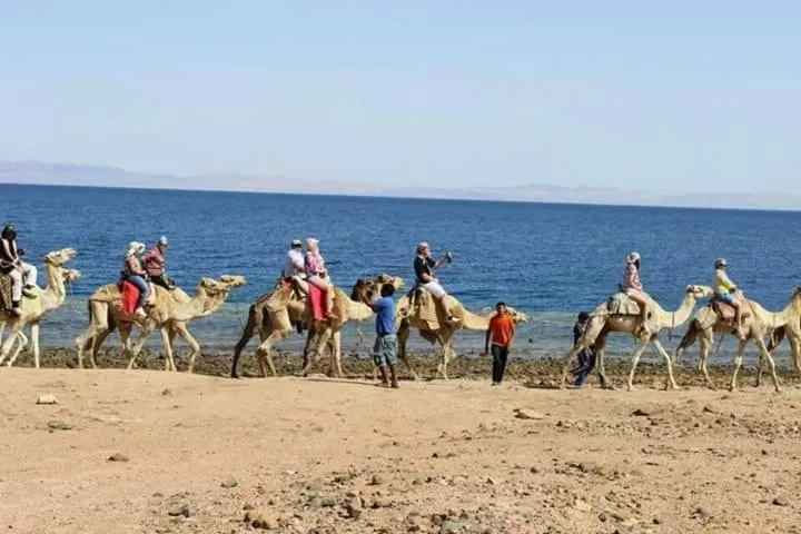 Activities in Sea Soul Hotel