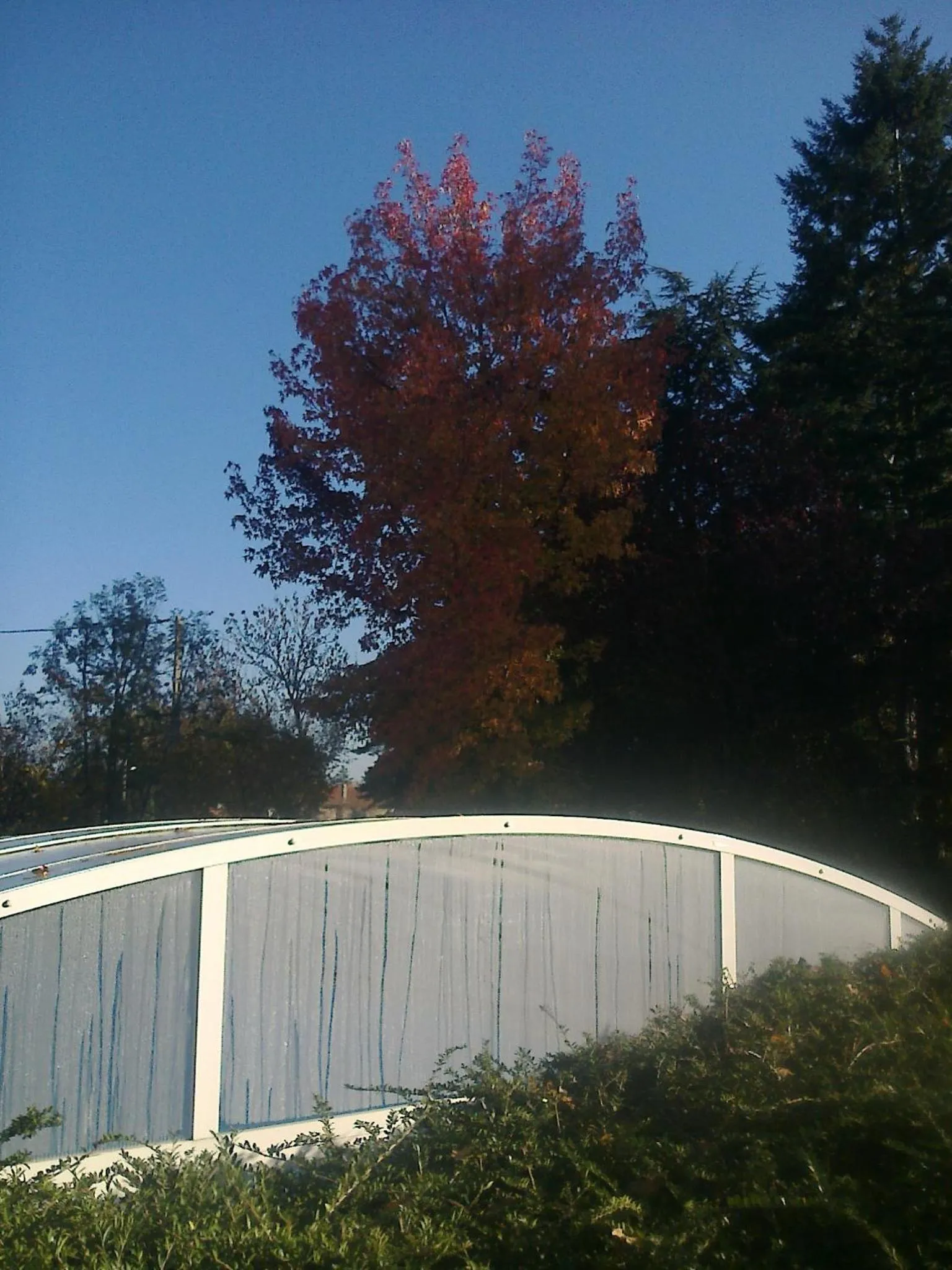 Swimming pool in Les écureuils