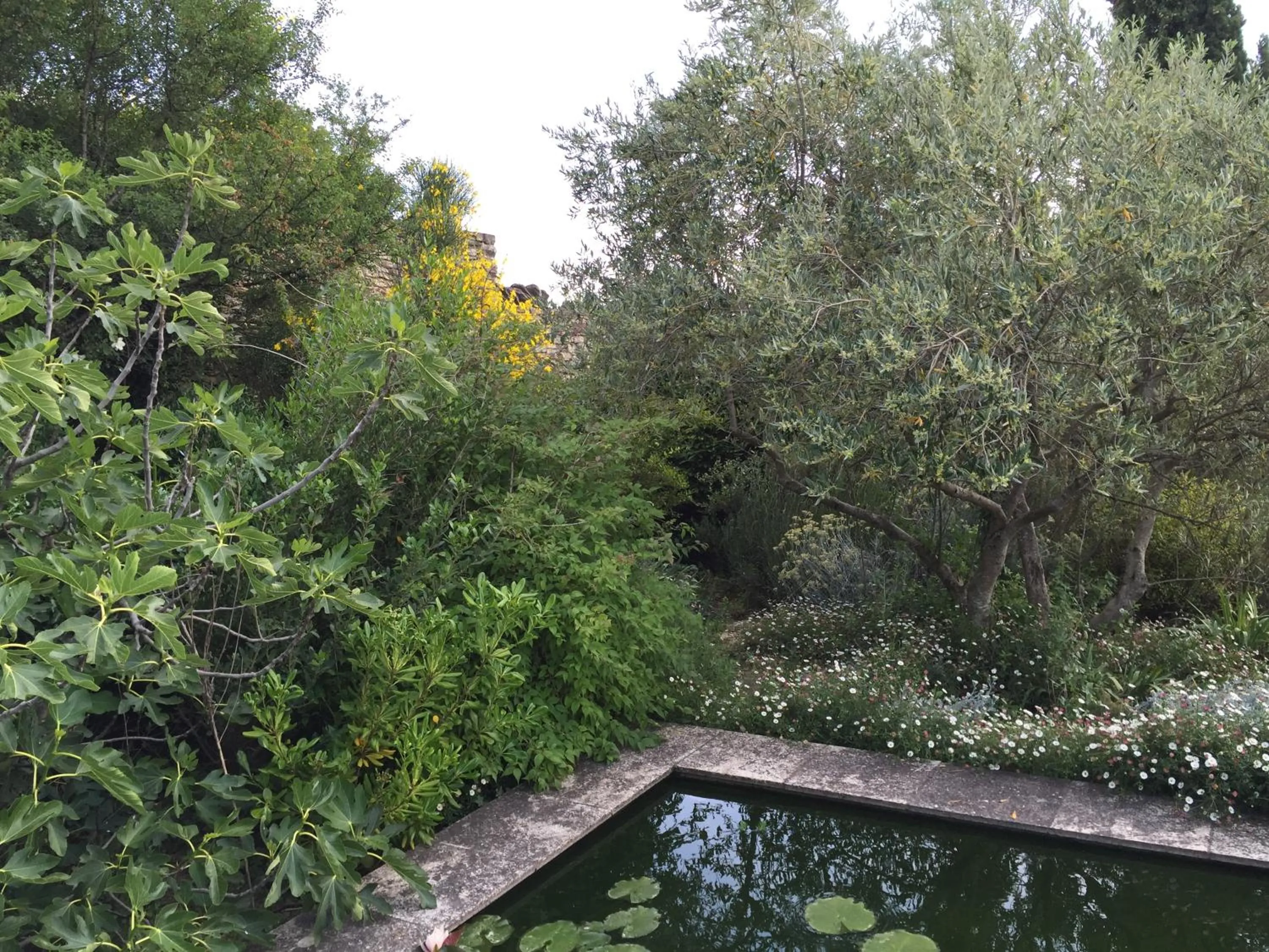 Garden in La Borie en Provence