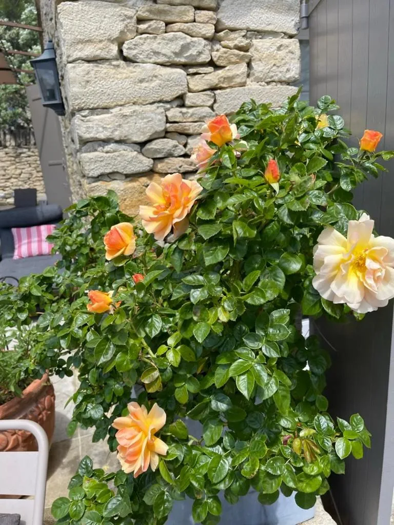 La Borie en Provence