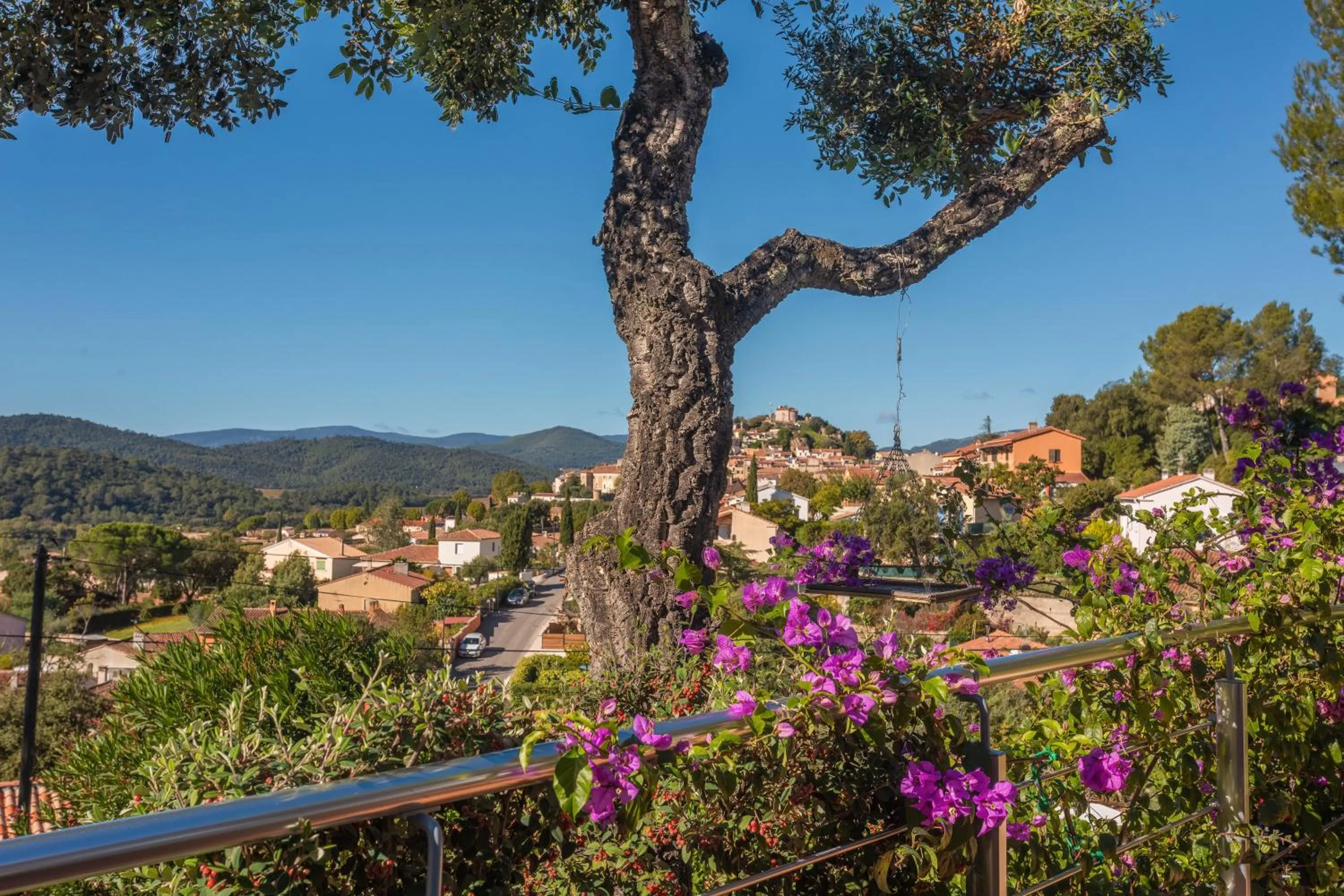 Au Jardin Des Couleurs