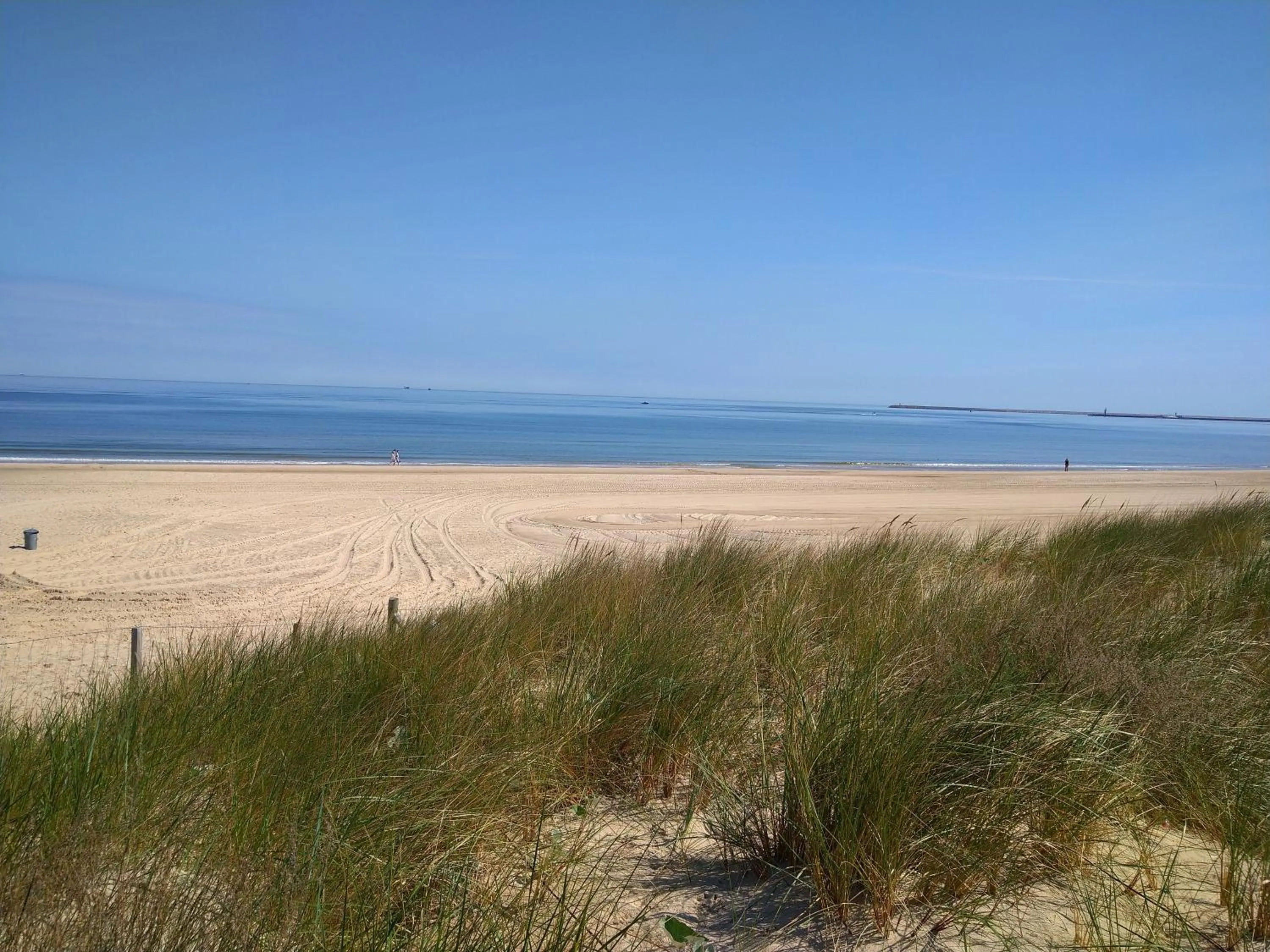 Natural landscape in Admiral II