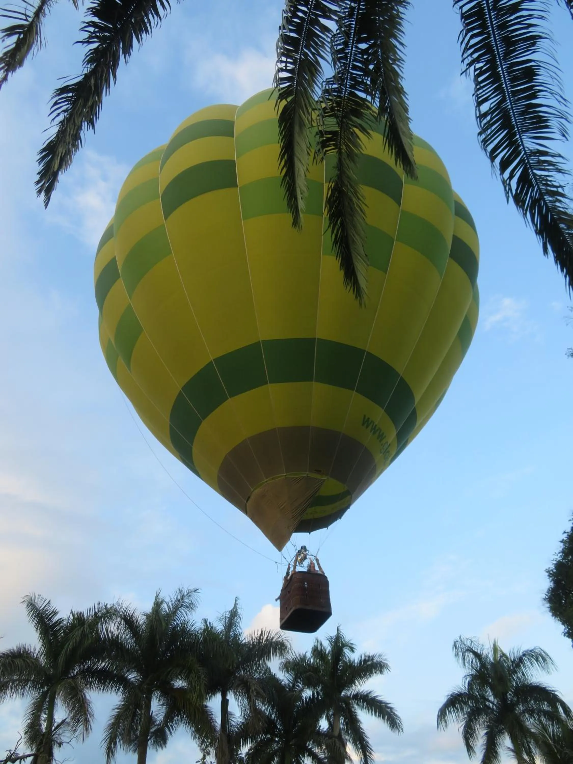 Activities in Finca Hotel el Palmar