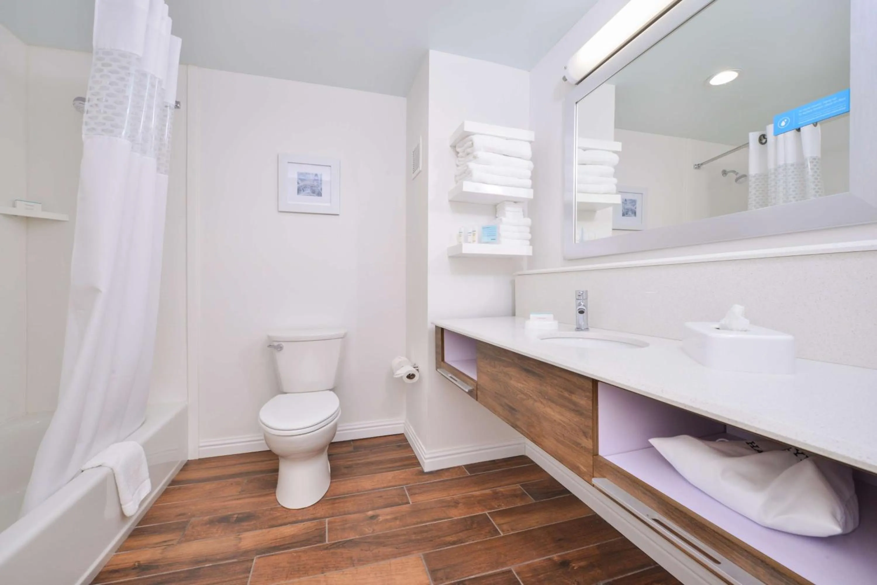 Bathroom in Hampton Inn Emporia, KS