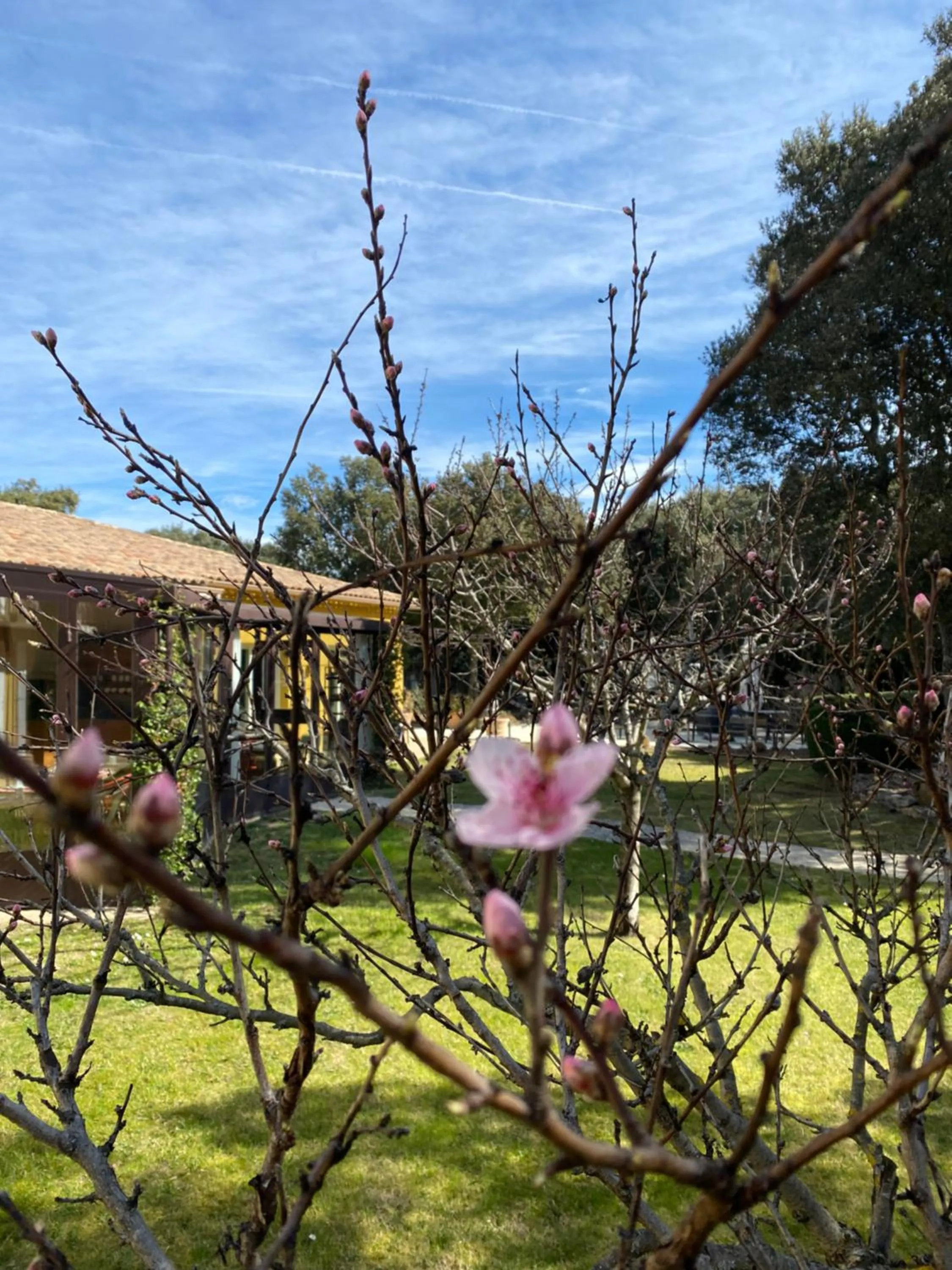 Spring in Logis Hôtel La Bastide De Grignan & Restaurant "La Chênaie"
